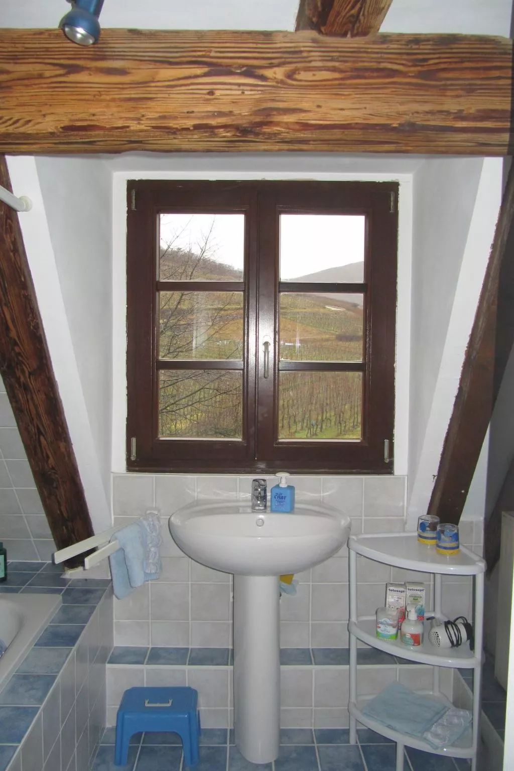 2ed-Face Vosges,im Süden,Herz Weinberg,Ruhig,WiFi-Image-tags.info