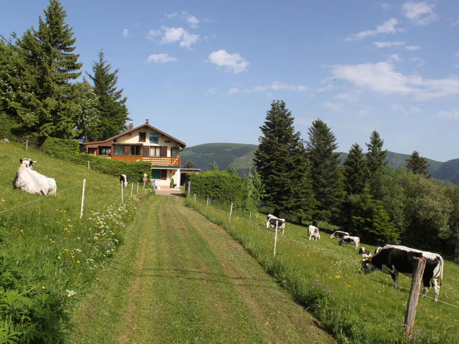 Zwischen Elsass und Vogesen, gite in einem schönen Chalet.-Image-tags.info
