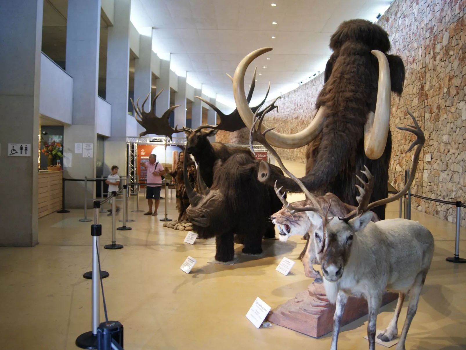 Le mas de l'Aven Unterkunft le mûrier-Buiten