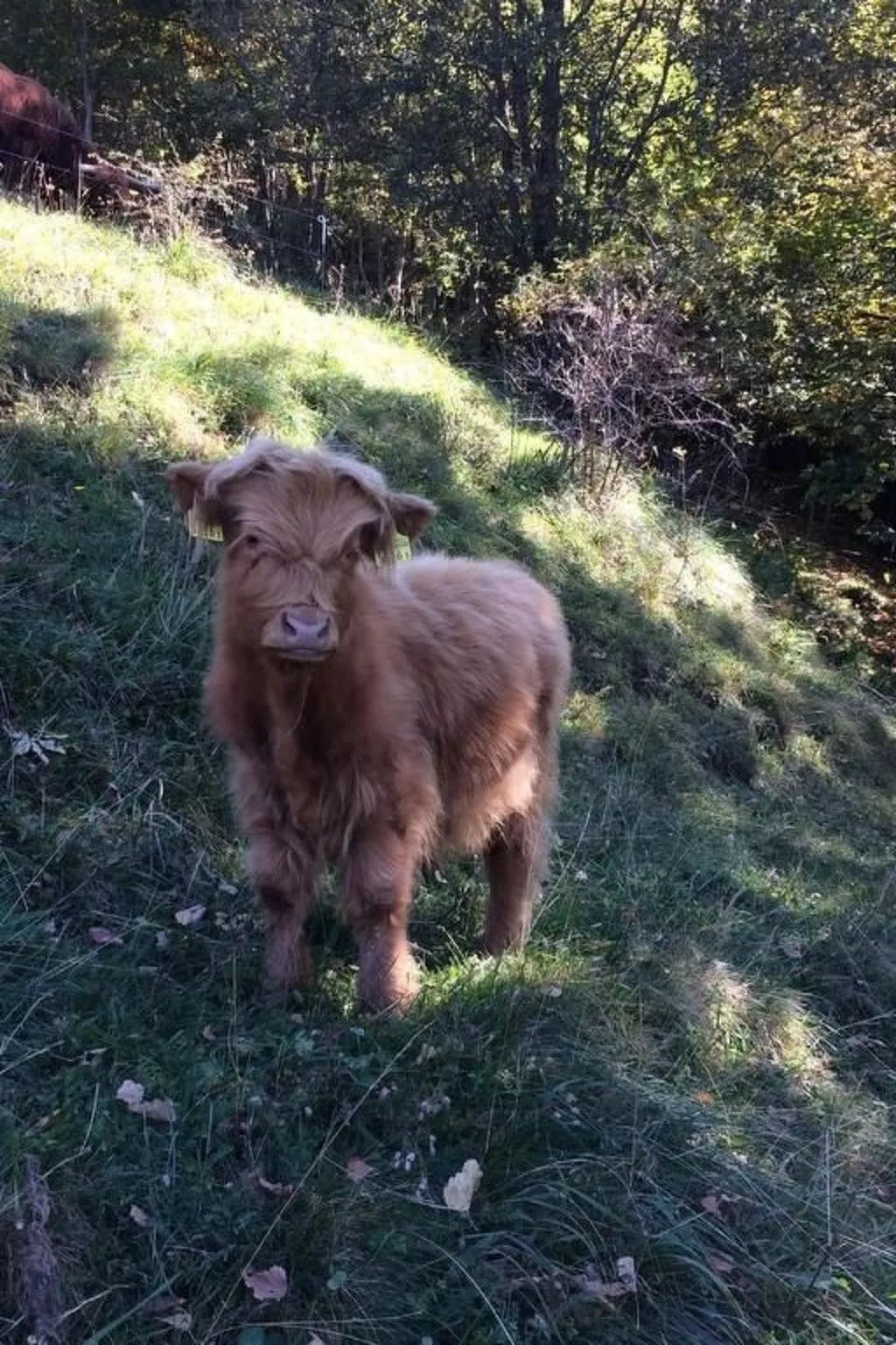 Casa al Vento-Image-tags.info