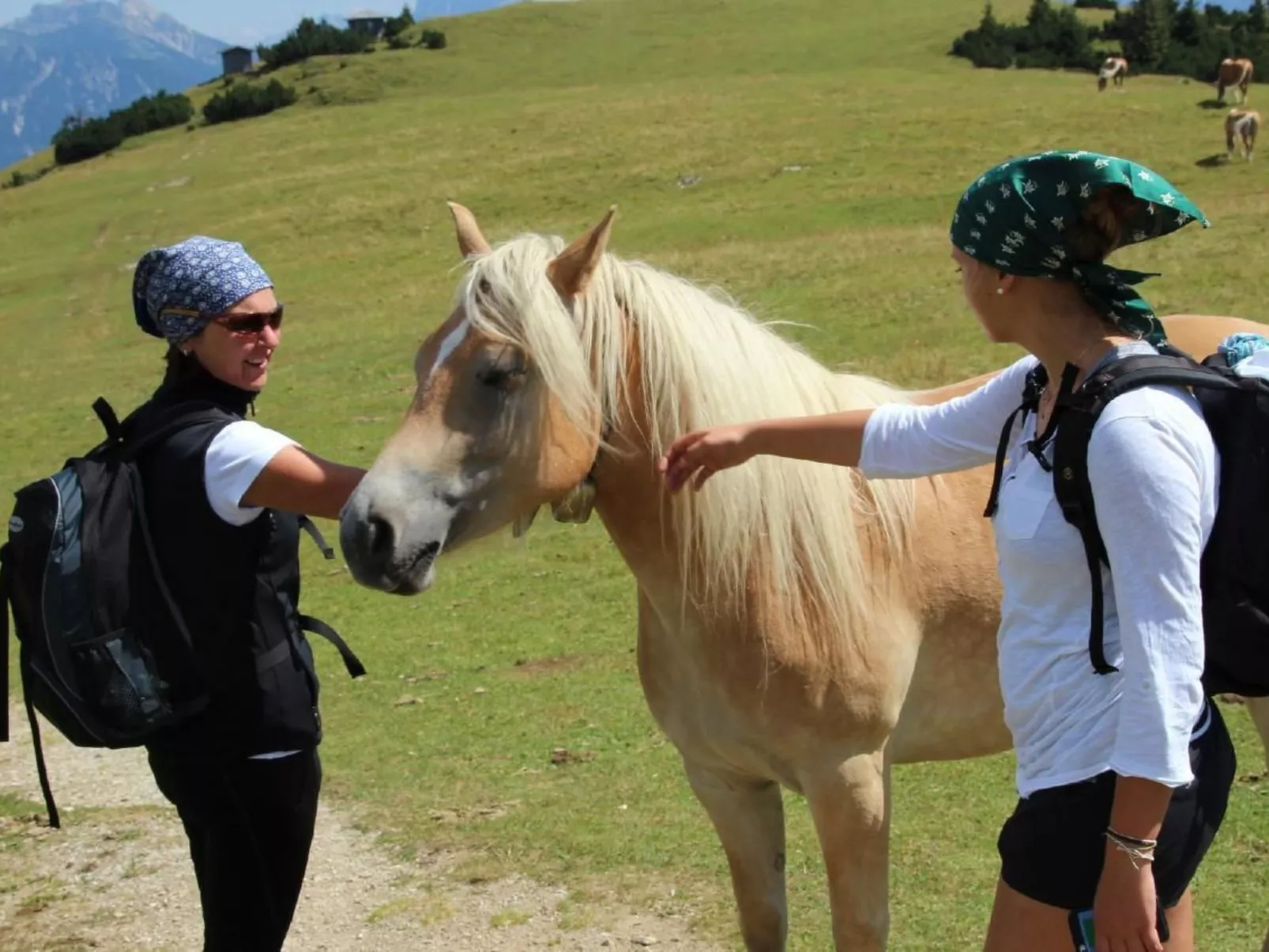 Fewo Zugspitze-Image-tags.info