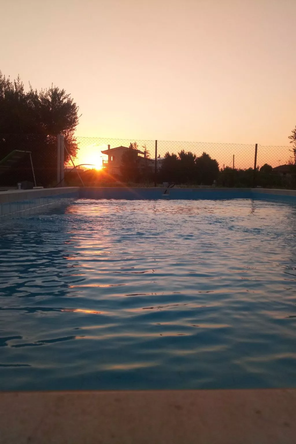 Neben Orangenbaum-Obstgarten-Buiten