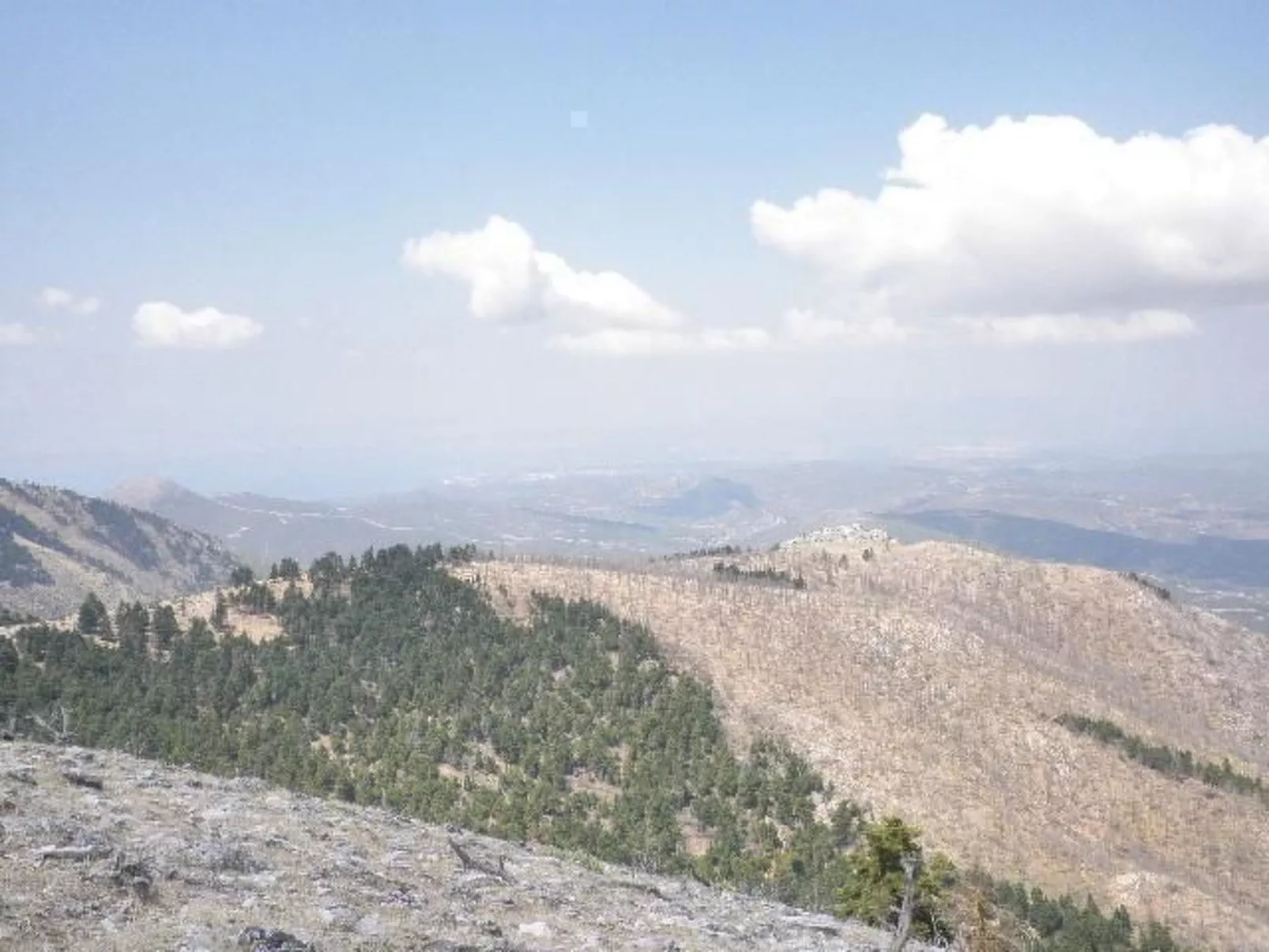 Studio mit Garten-Buiten