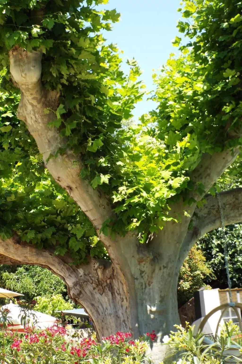 Leonie's Gîte Moulin de Tartay in Avignon-Buiten