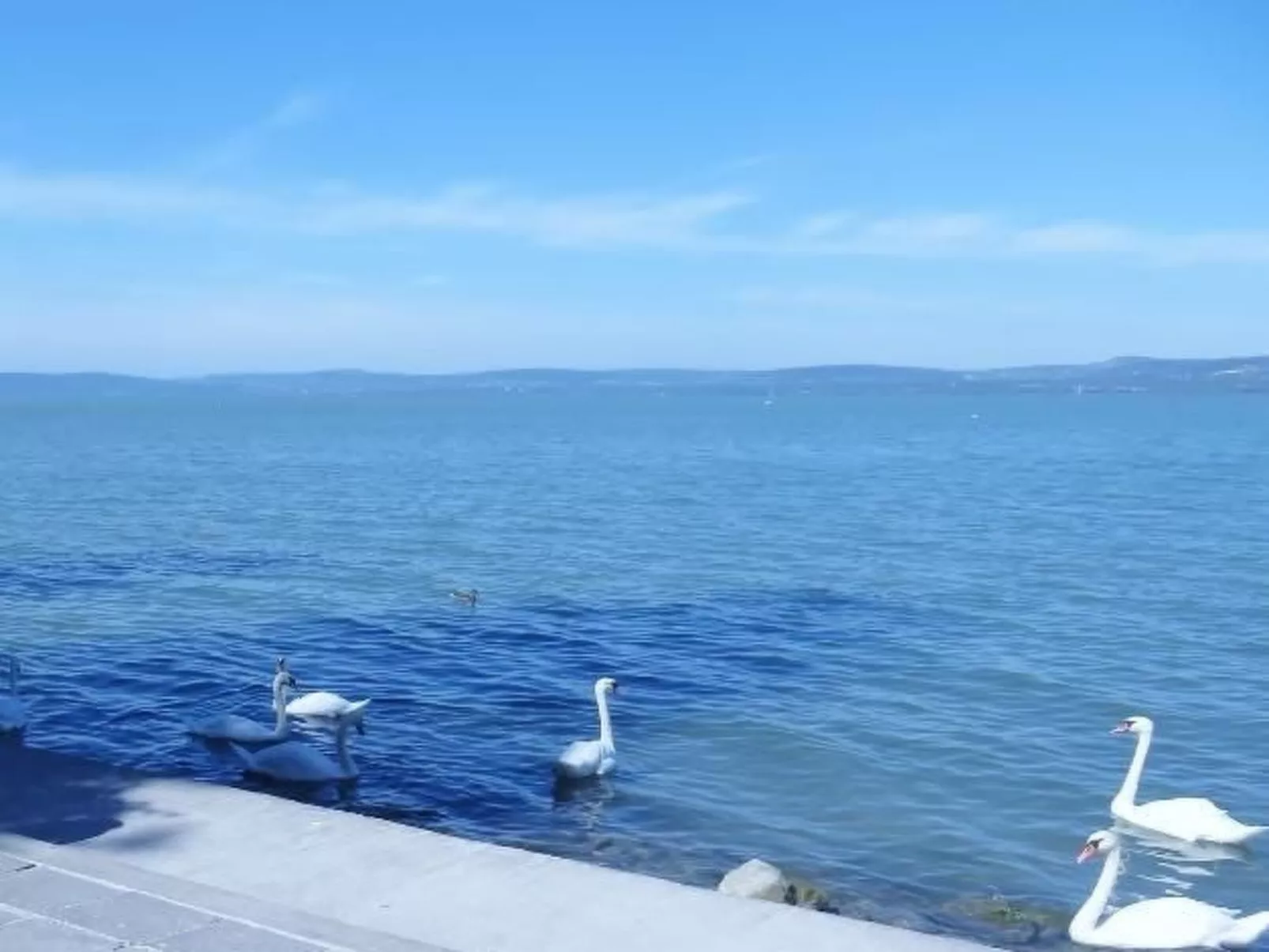 Hungarium am Platte-Buiten