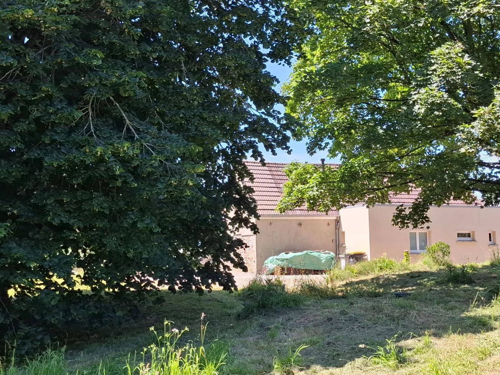 Le Bois aux Ecureuils (Eichhörnchenwald)-Buiten