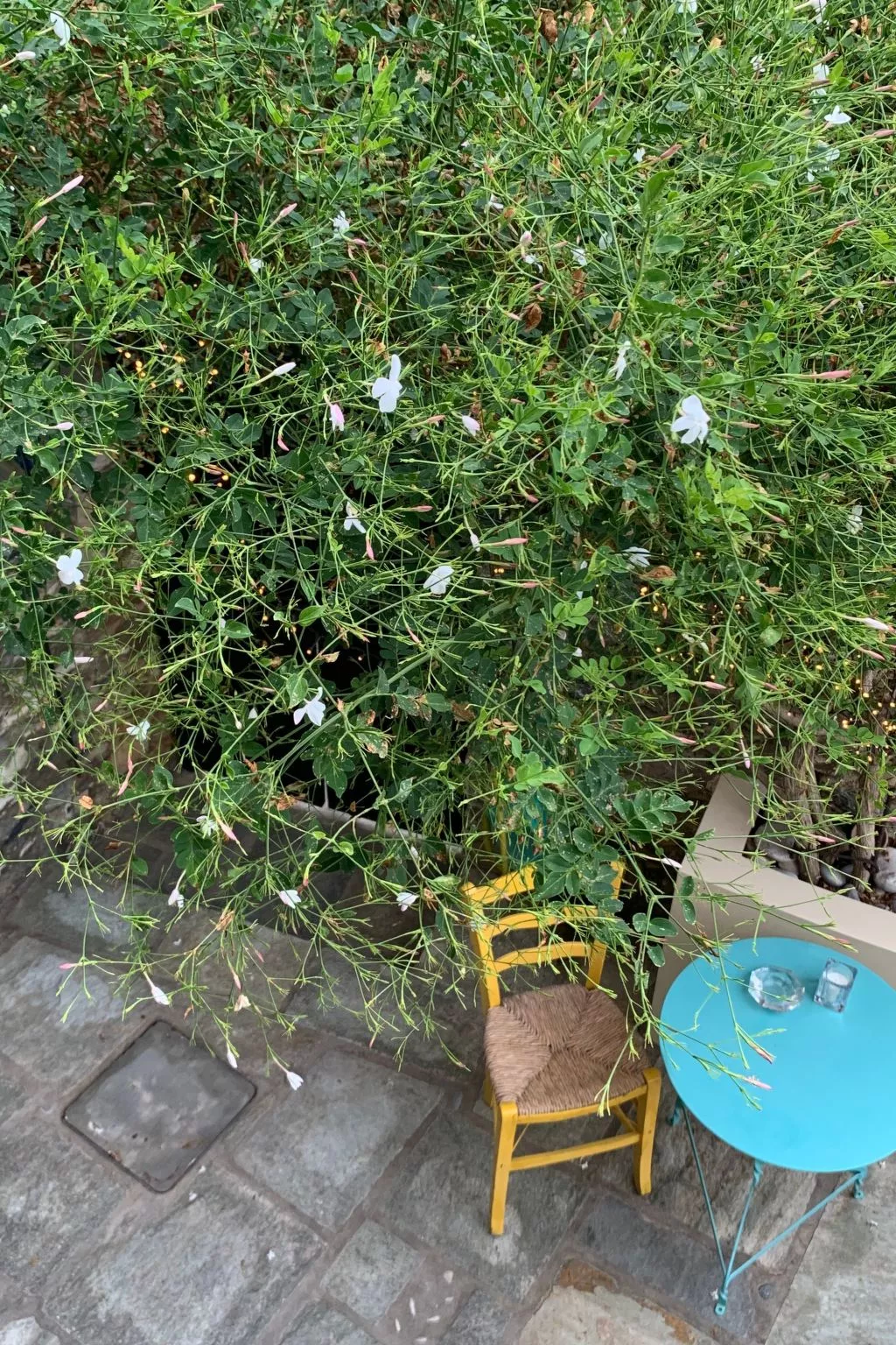 "Kyria Florenz"-Buiten