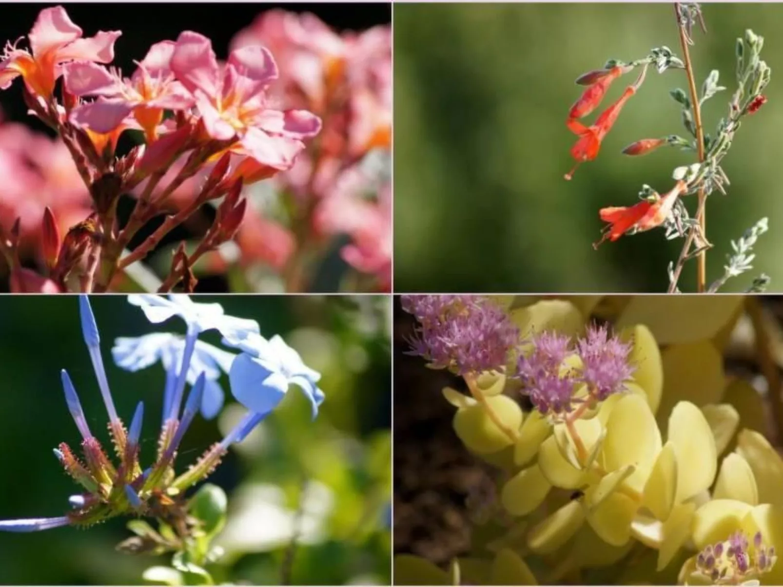 Wohnung mit allem Komfort Strand zu Fuß-Image-tags.info
