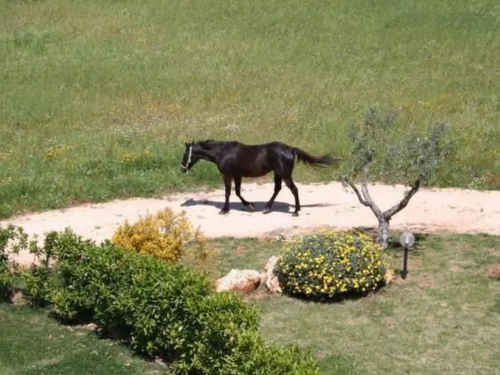 Antike Villa mit privatem Pool, Spa und türkischem Bad-Buiten