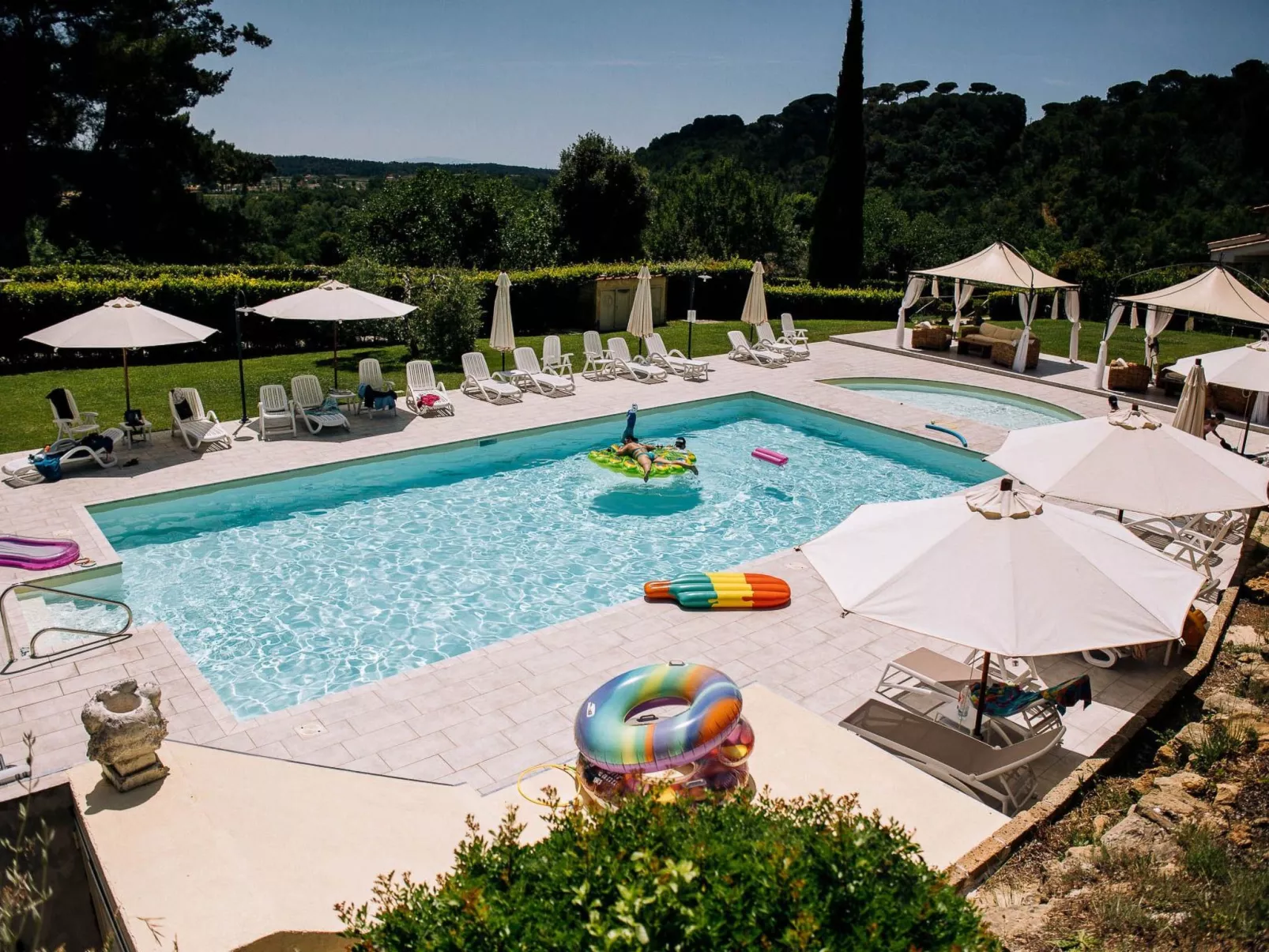 'Calla-Image-tags.info