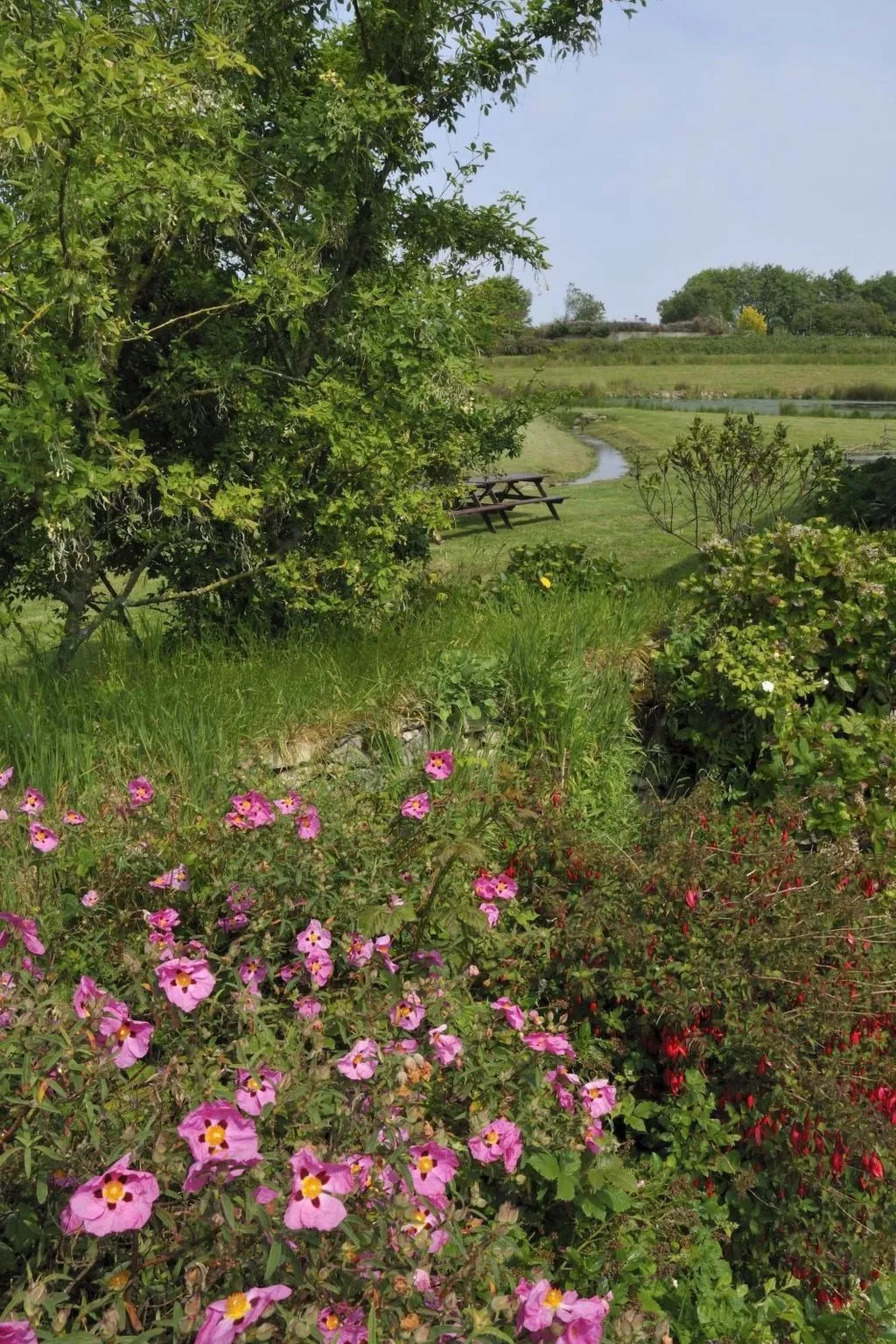 Idyllischer Landsitz mit Meerblick-Image-tags.info