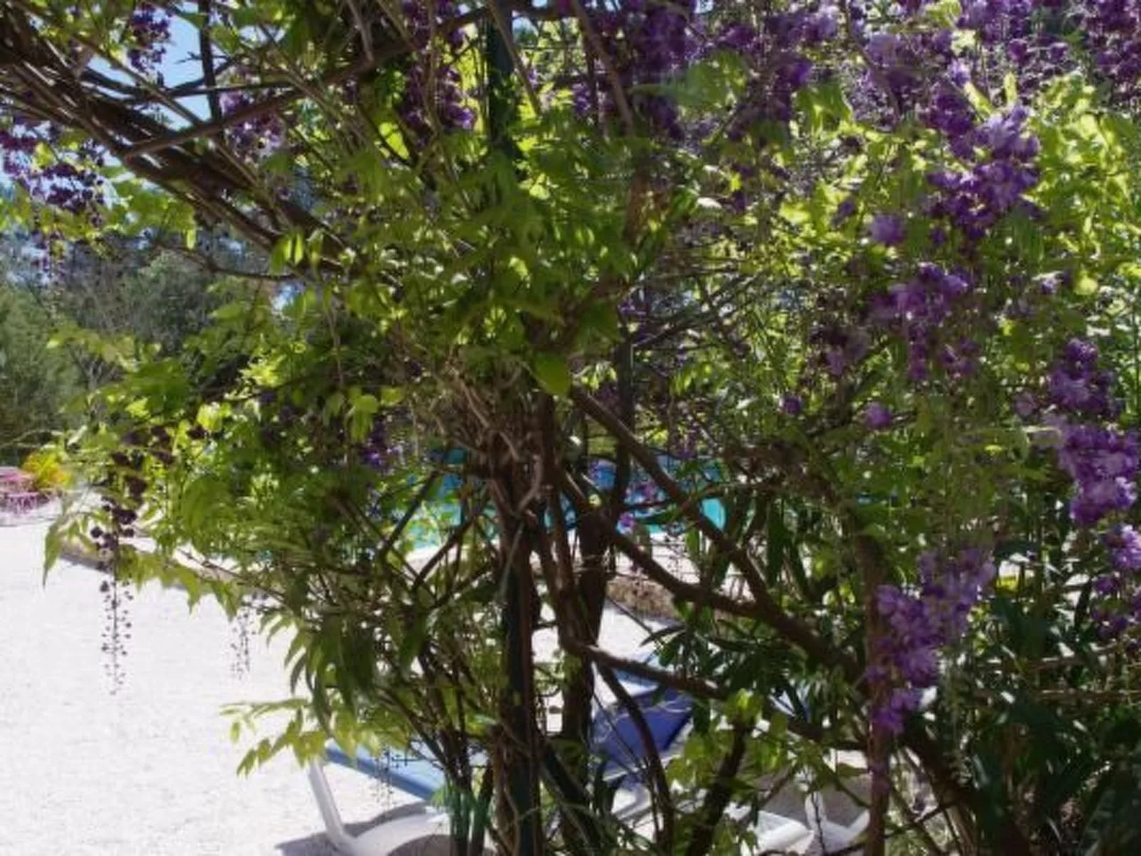 "La CIgale" mit Schwimmbad-Image-tags.info