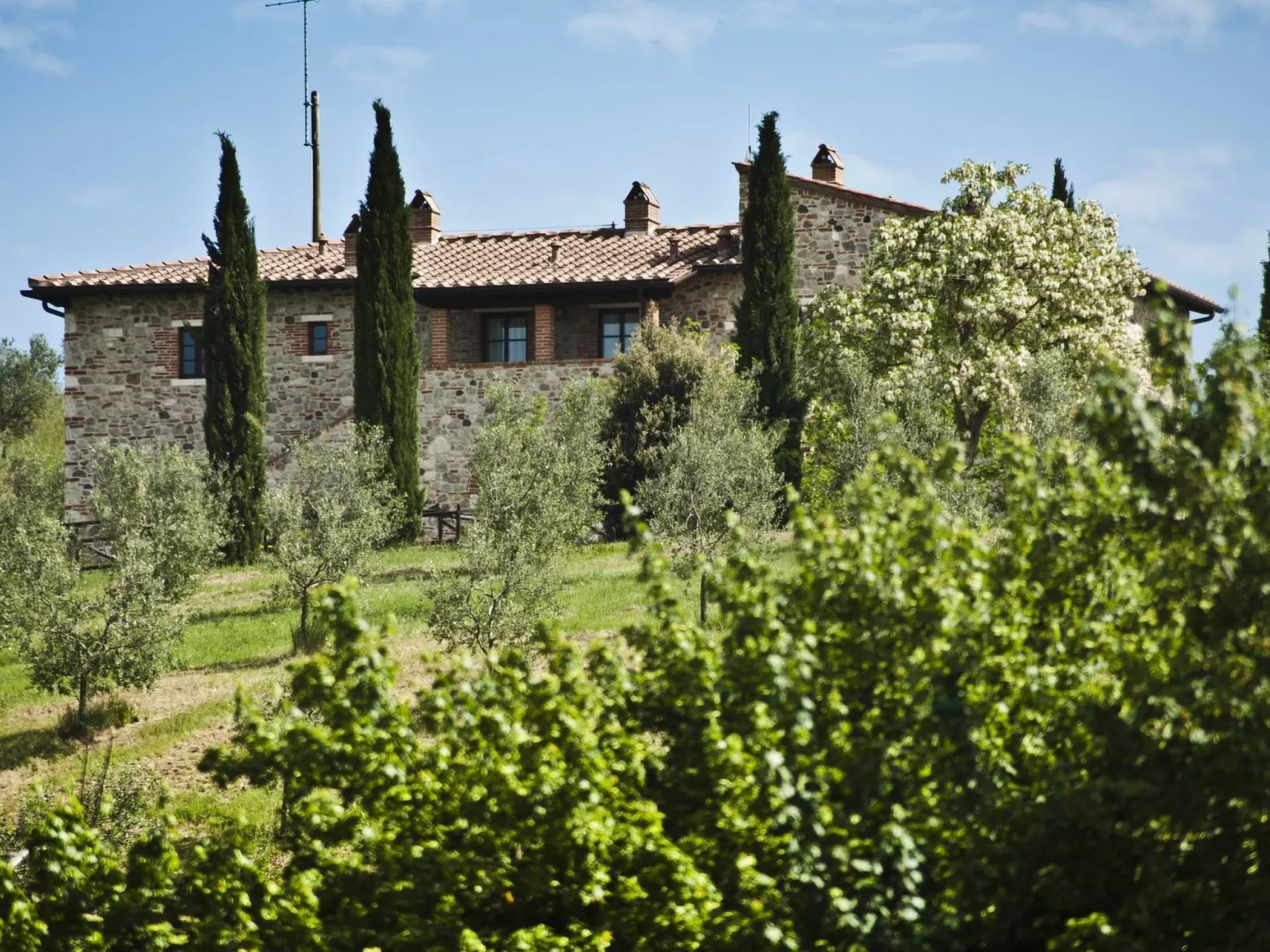 Efeu"-Wohnung mit Gemeinschaftspool-Buiten