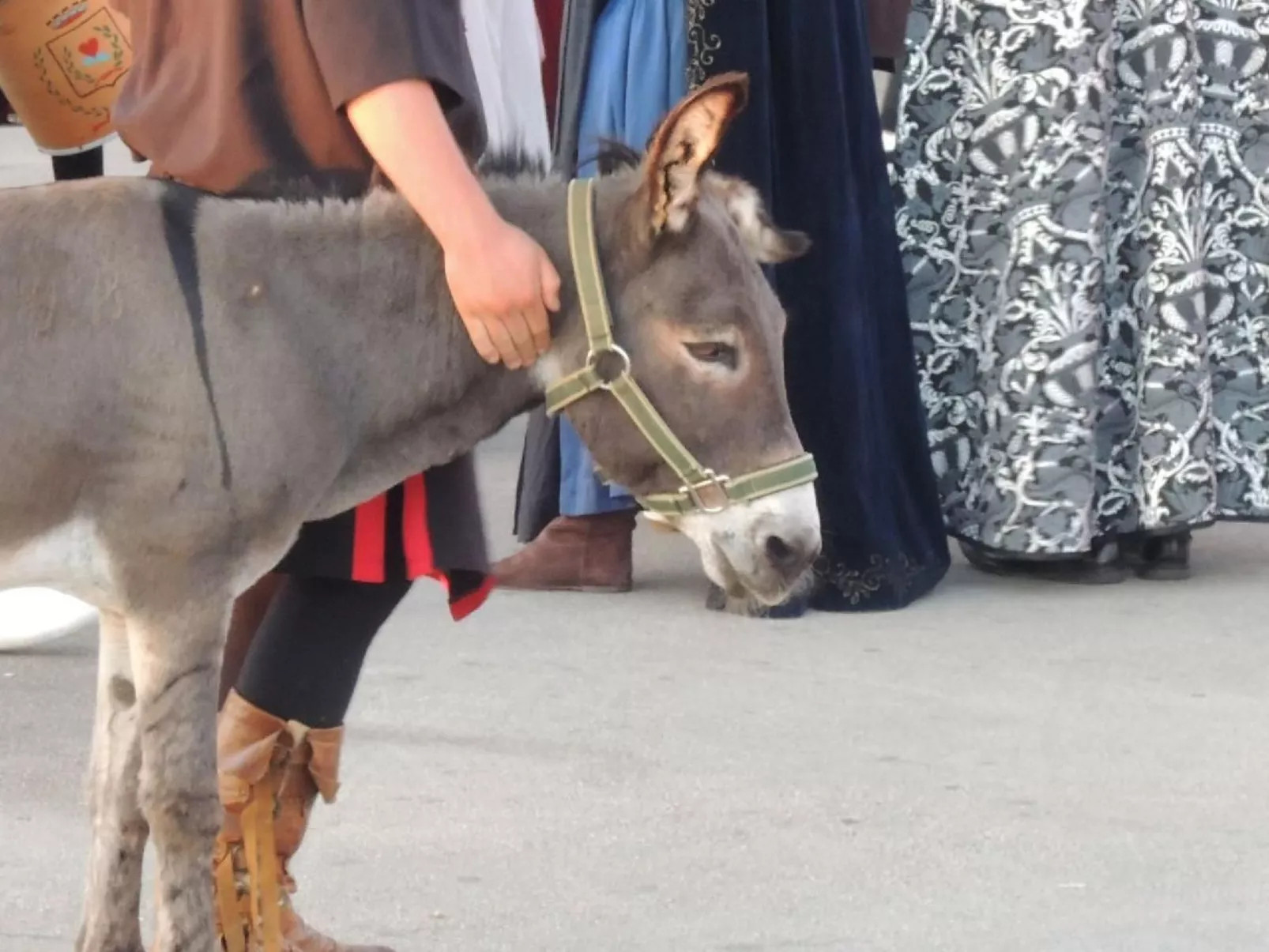 Lavanda 3-Image-tags.info