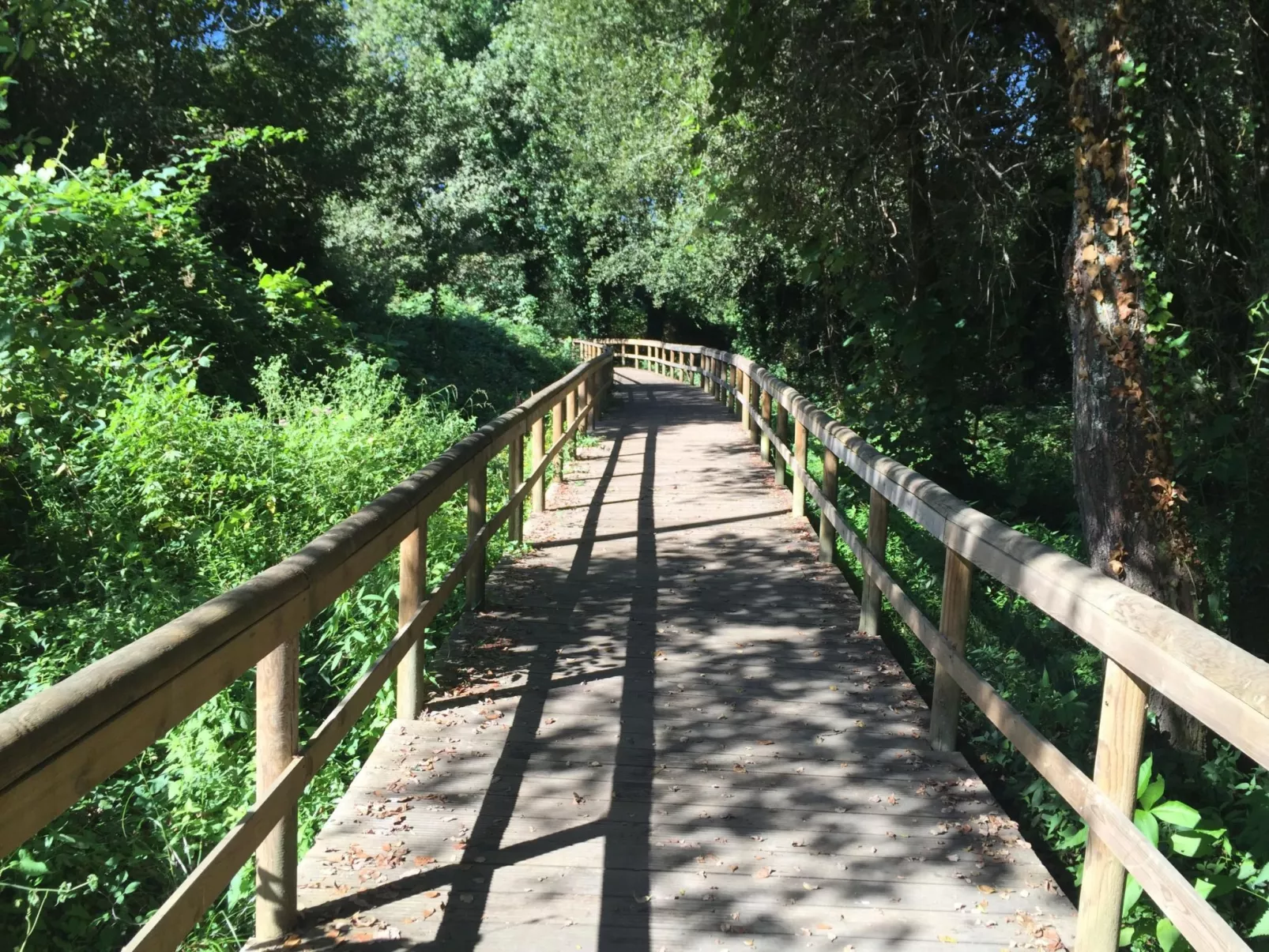 Villa "Vivenda Vila Nova"-Buiten