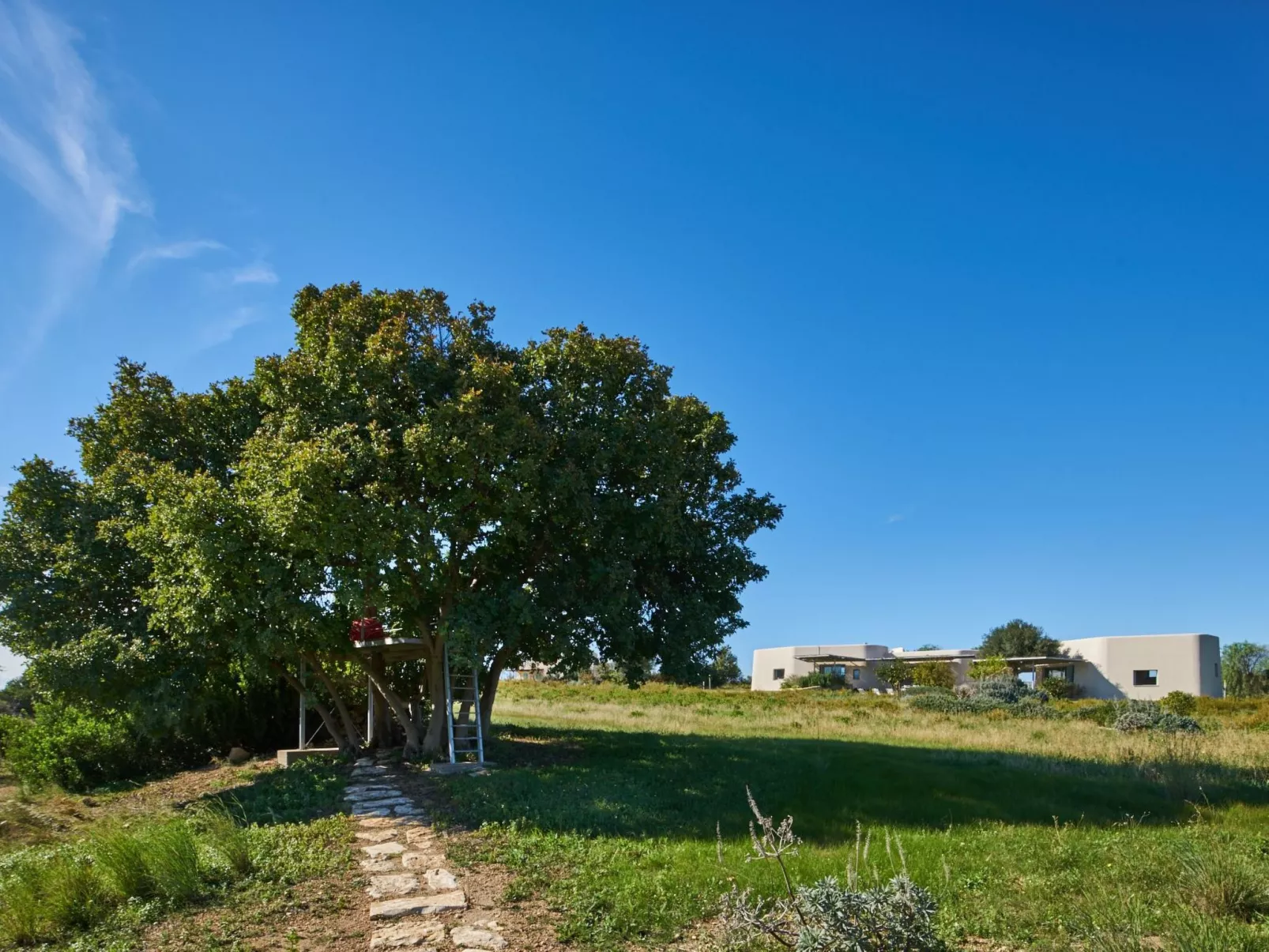 Villa Vendicari Junior-Image-tags.info