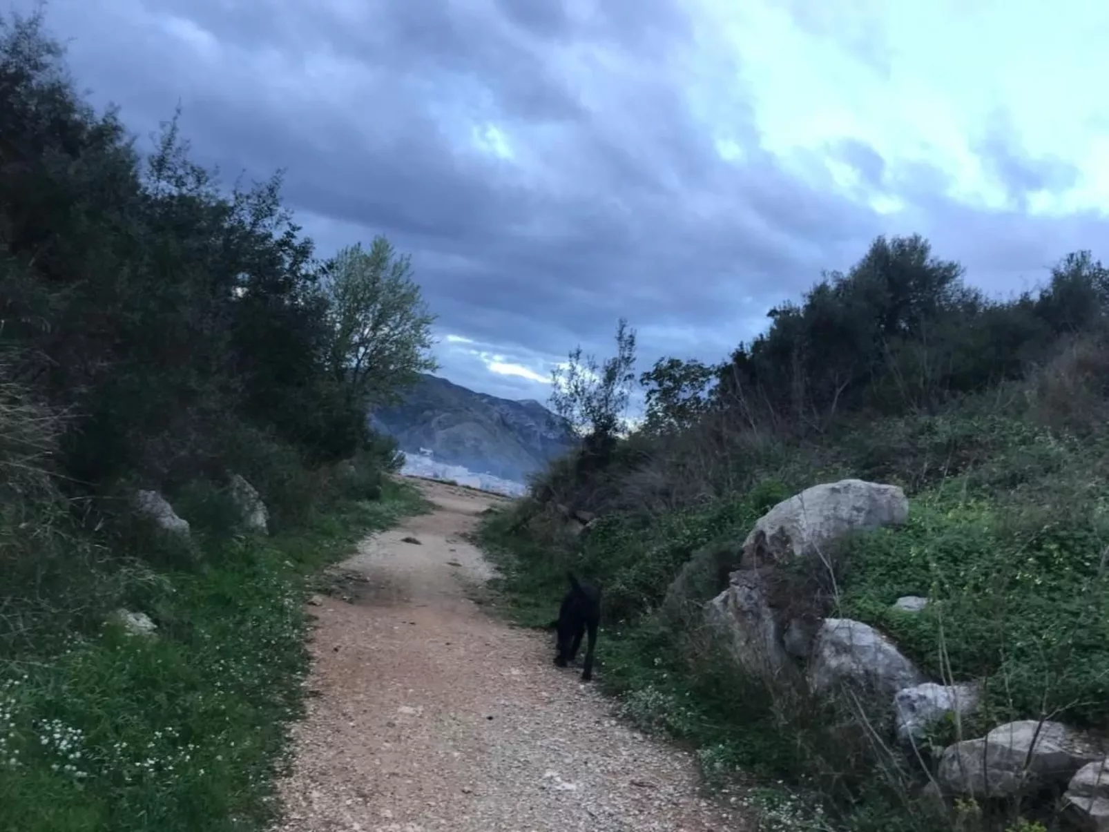 Villa SOL 32-Image-tags.info