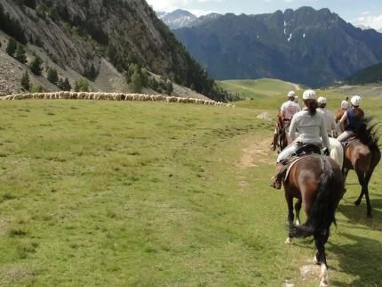 Appartement mit Terrasse-Image-tags.info