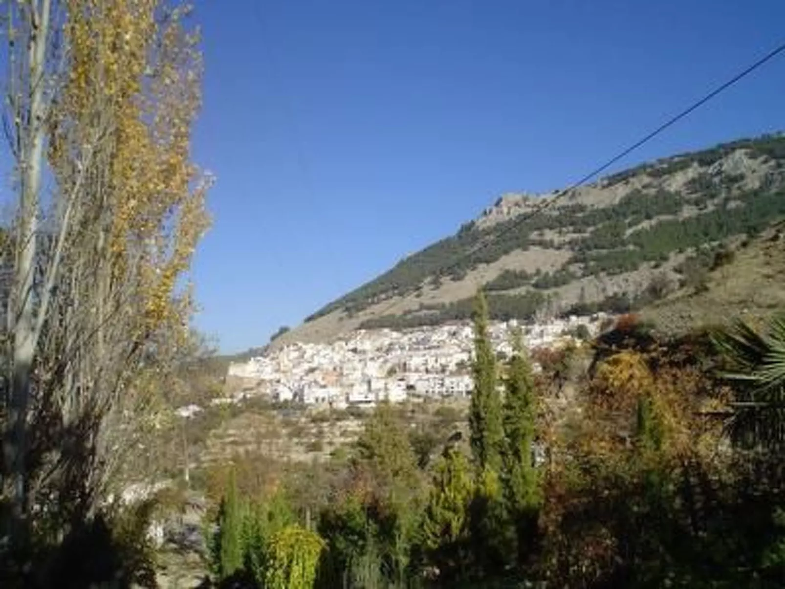 La Casita-Image-tags.info