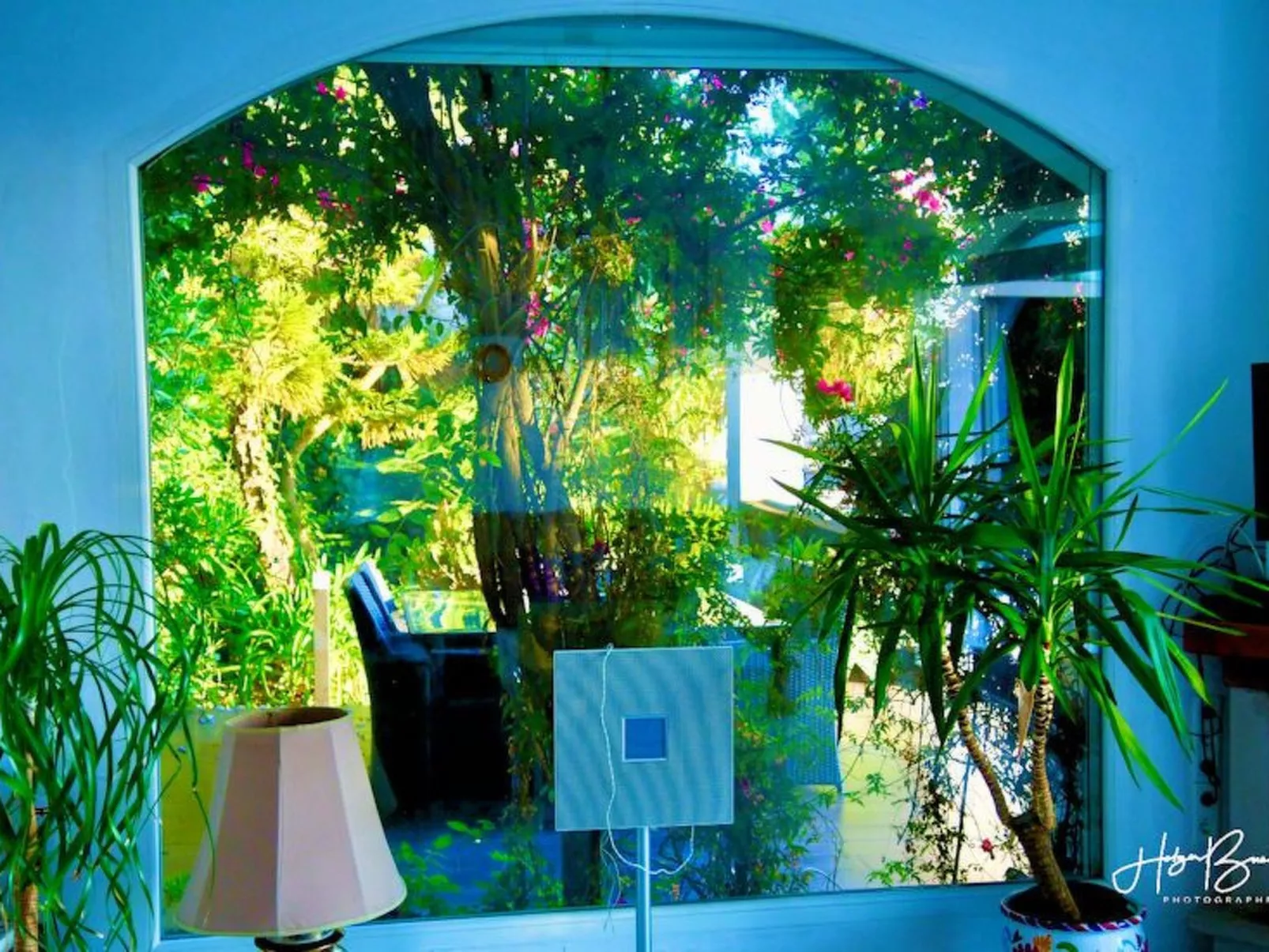 Villa Axarquia-Image-tags.info