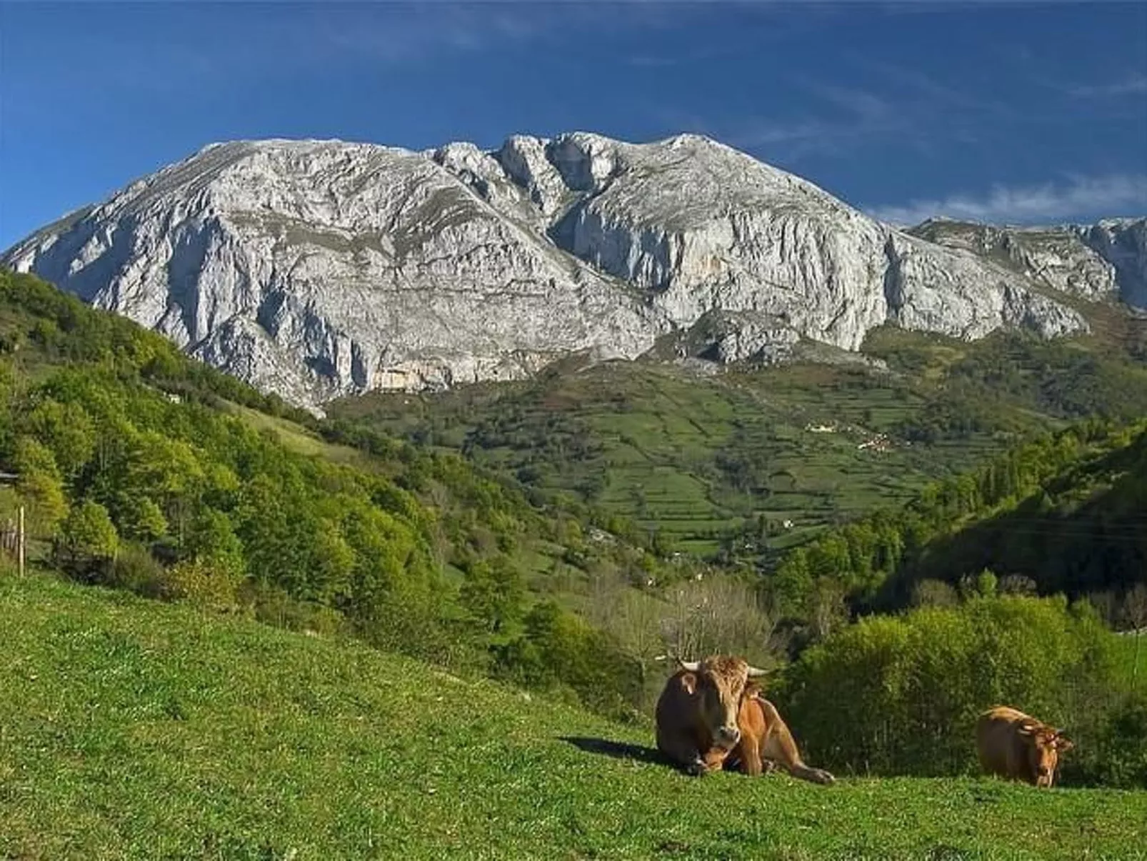 Ländliches Haus La Carrozal Senda del Oso-Buiten