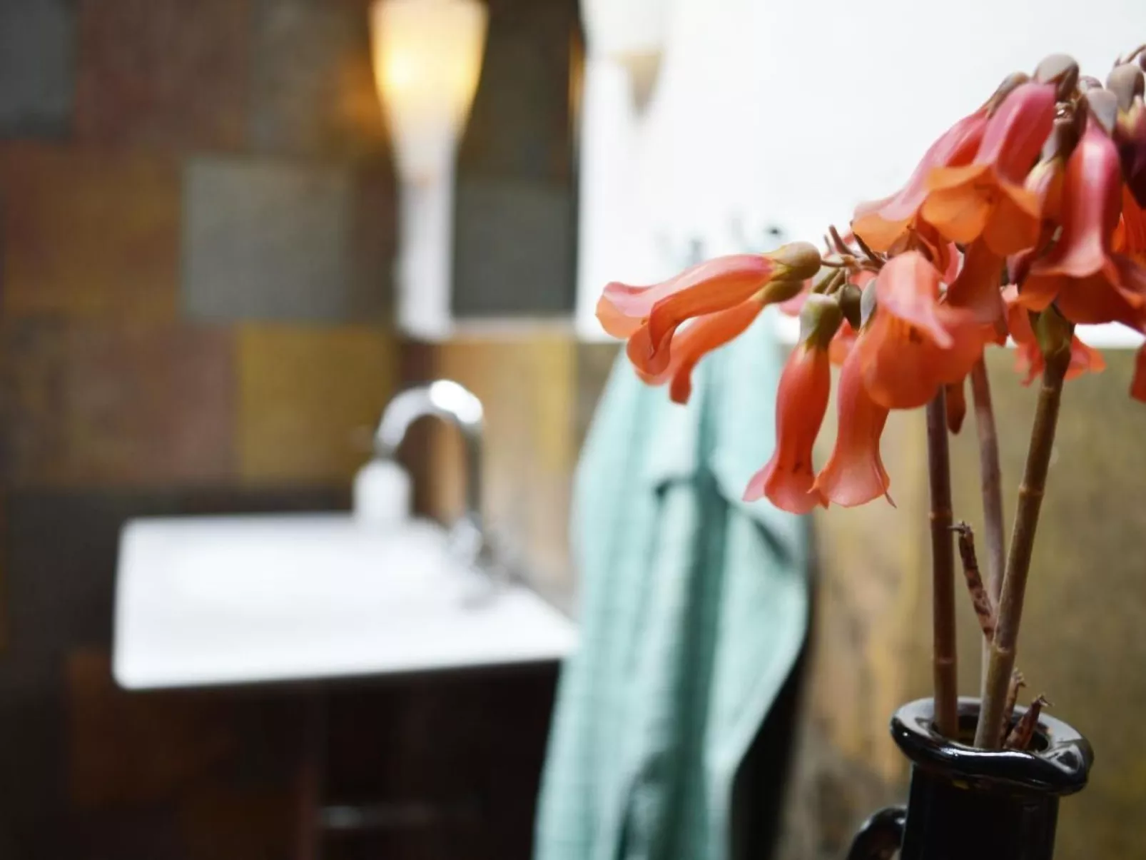 Appartement Casa Hibisco mit schönem Garten-Image-tags.info