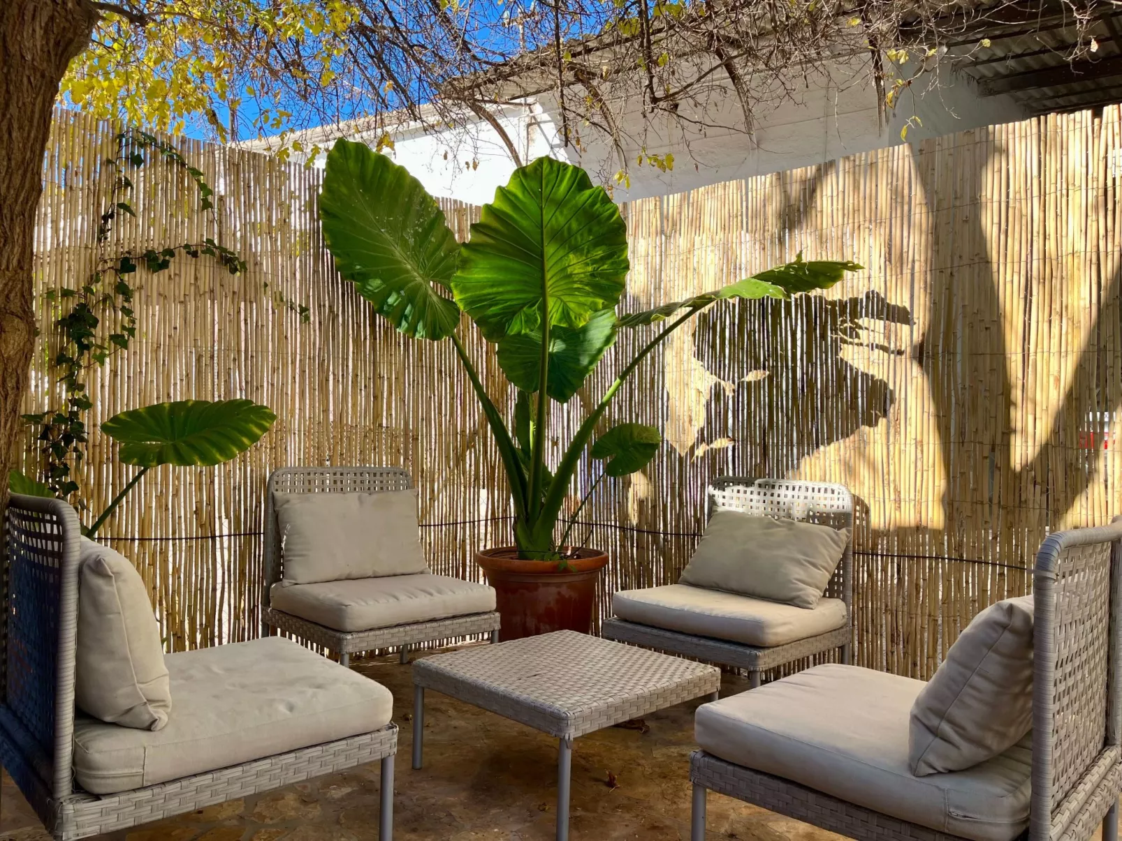 Finca 'La Casa de Illora-Buiten