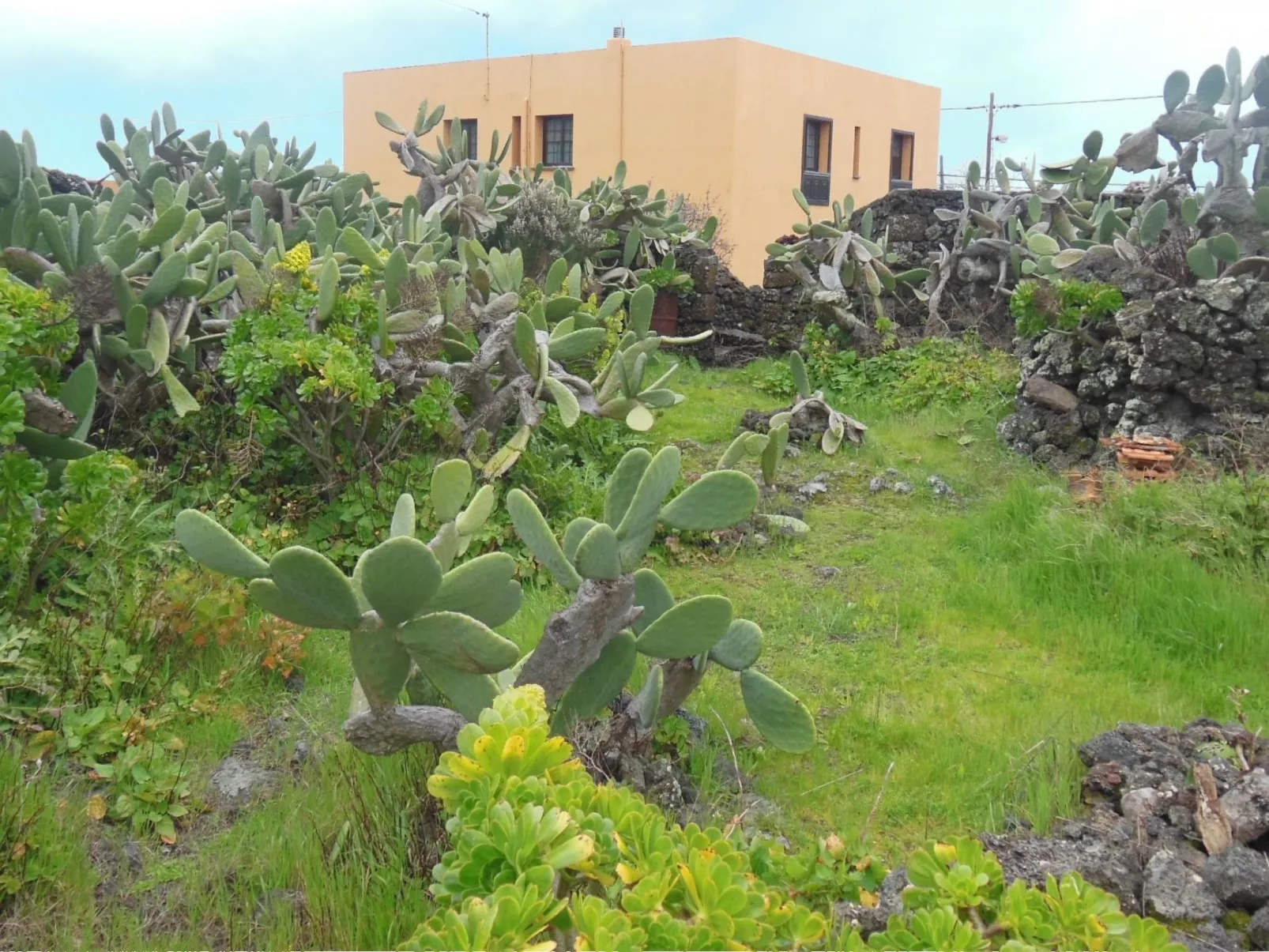 Traditionelles kanarisches Landhaus-Buiten