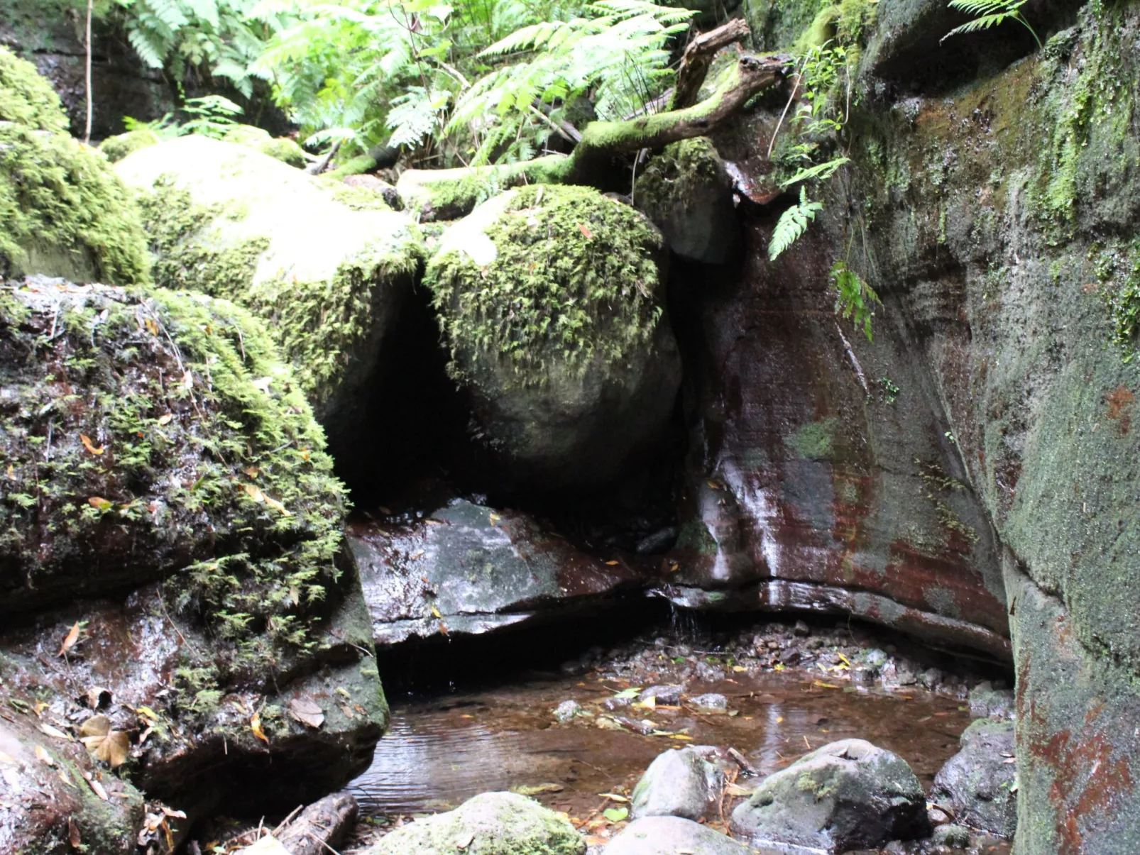 In Monte Breñas mit Grill, Terrasse und Garten-Buiten