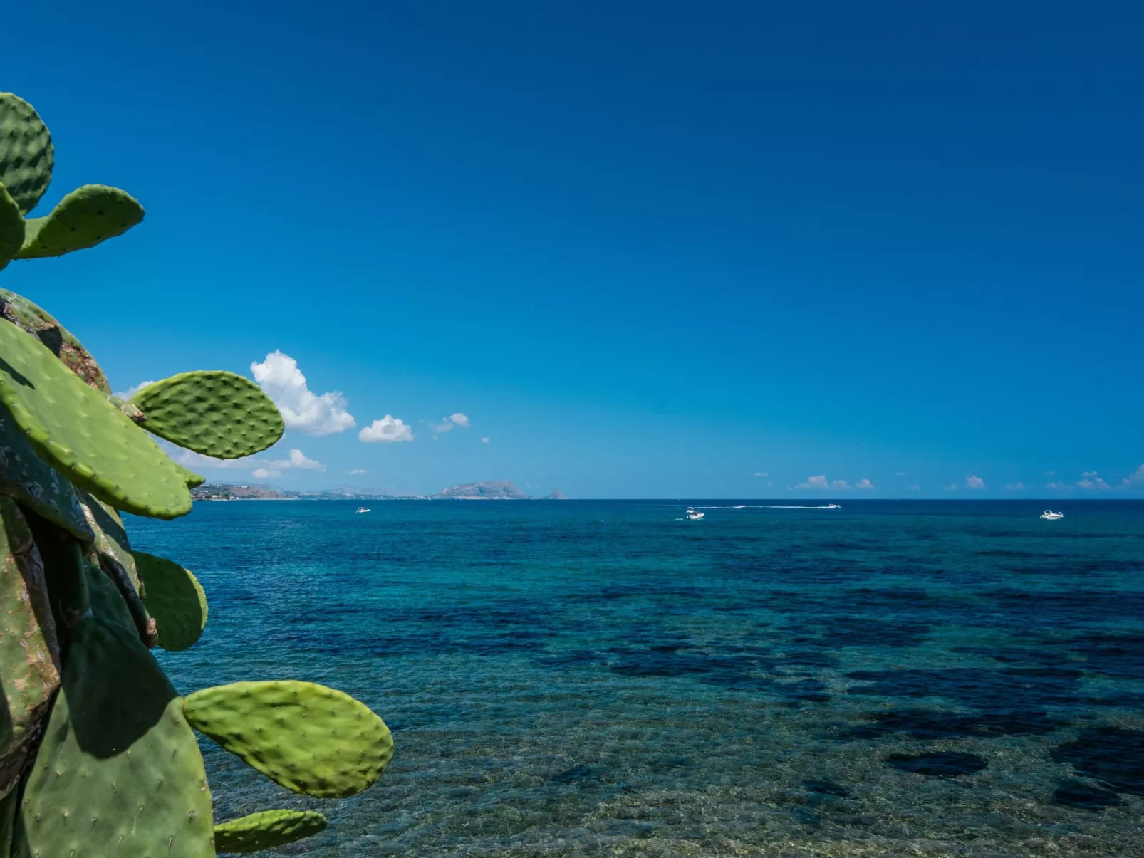 Villa a 150m dal mare, wifi e Kochkurs kostenlos - Buiten