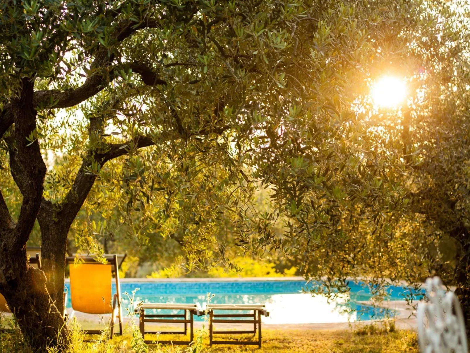 Mit Garten und Schwimmbad in den Hügeln der Marken.-Buiten