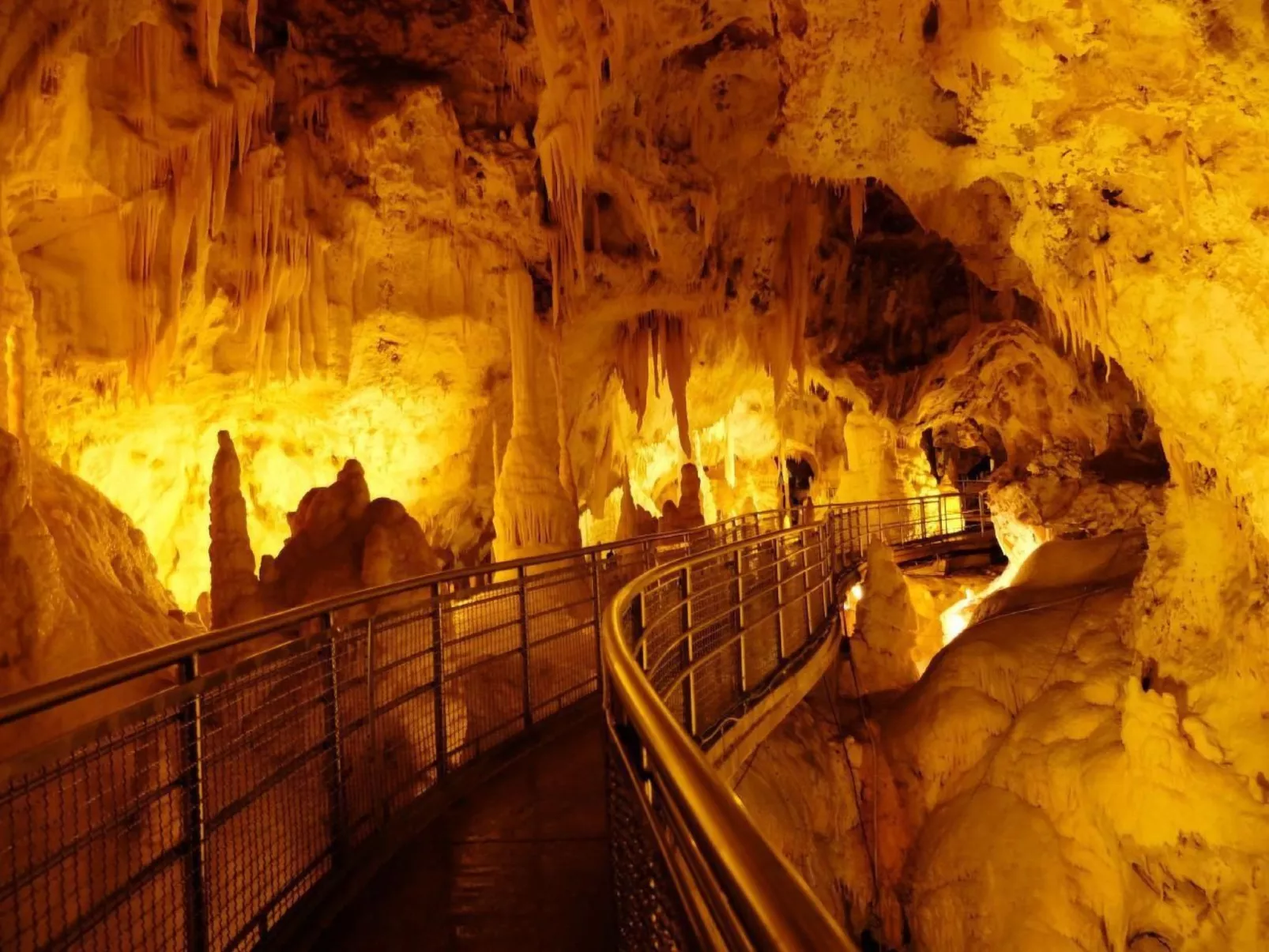 "Il Gufo"-Image-tags.info