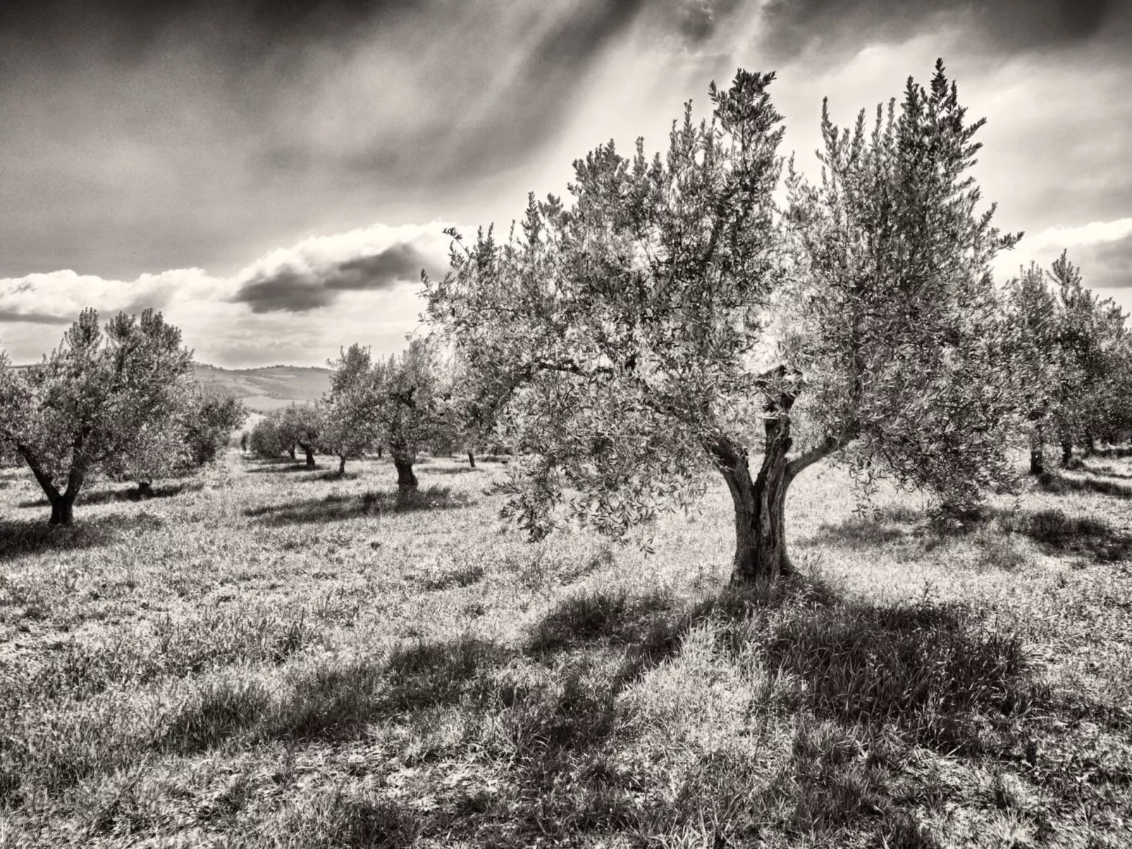 Il Melograno Panoramahaus-Buiten