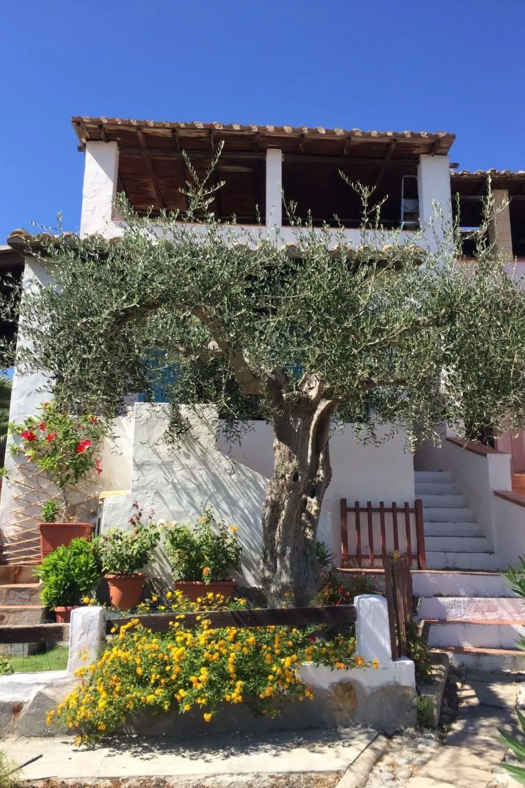 Arcaidu Apartment mit bezaubernder Aussicht