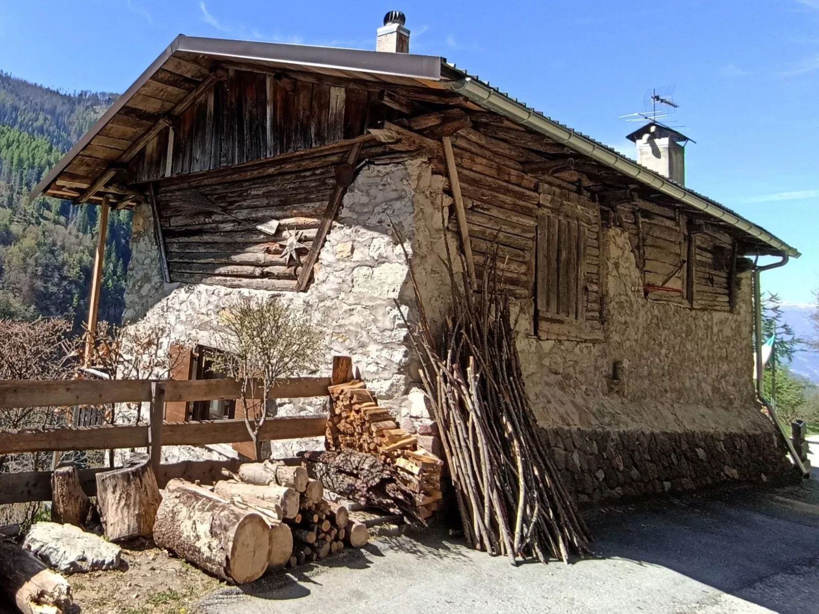 Maso Tòttn-Image-tags.info