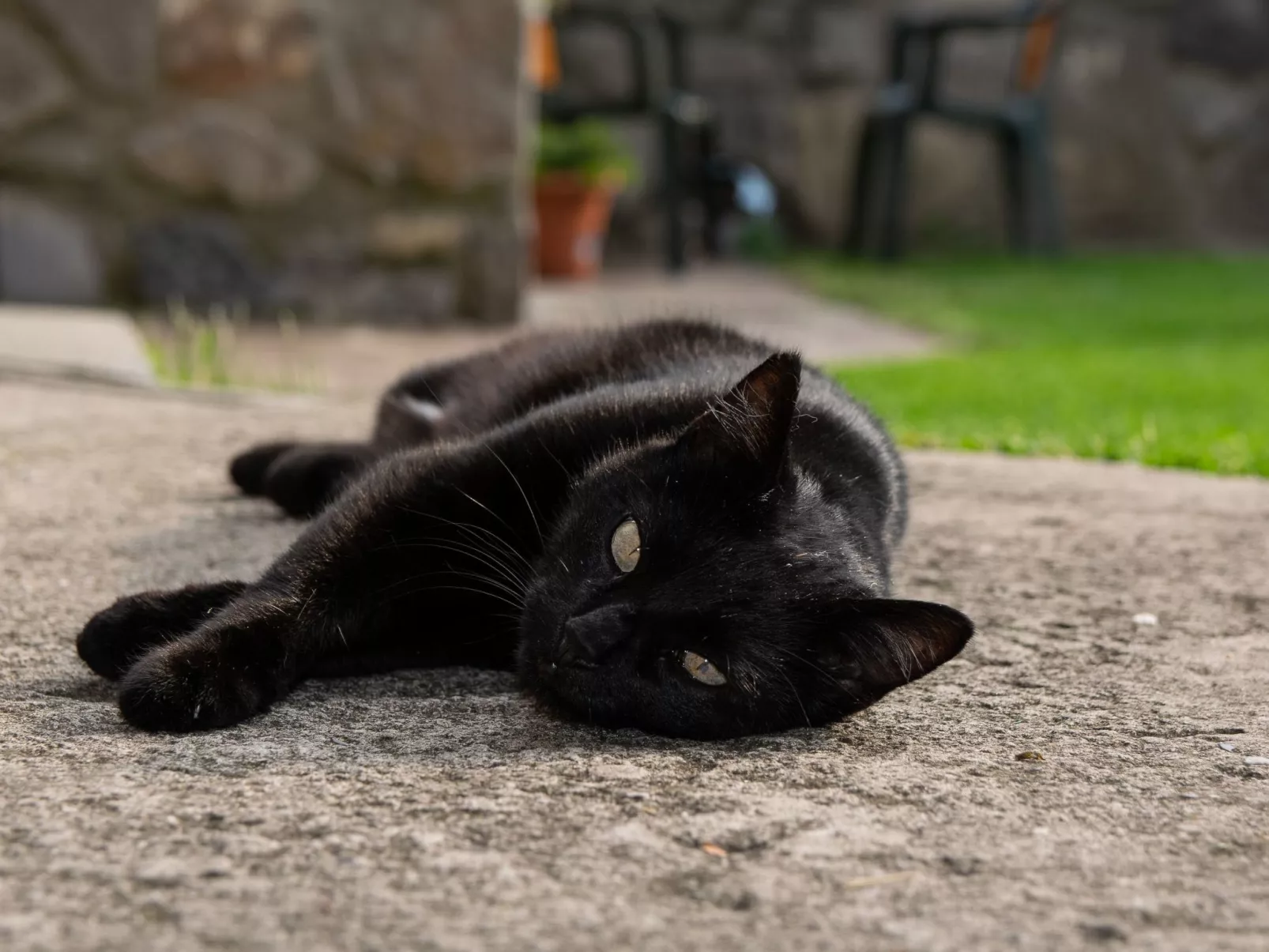Studio-Apartment mit Balkon mit Seeblick und Zugang zum Garten-Buiten