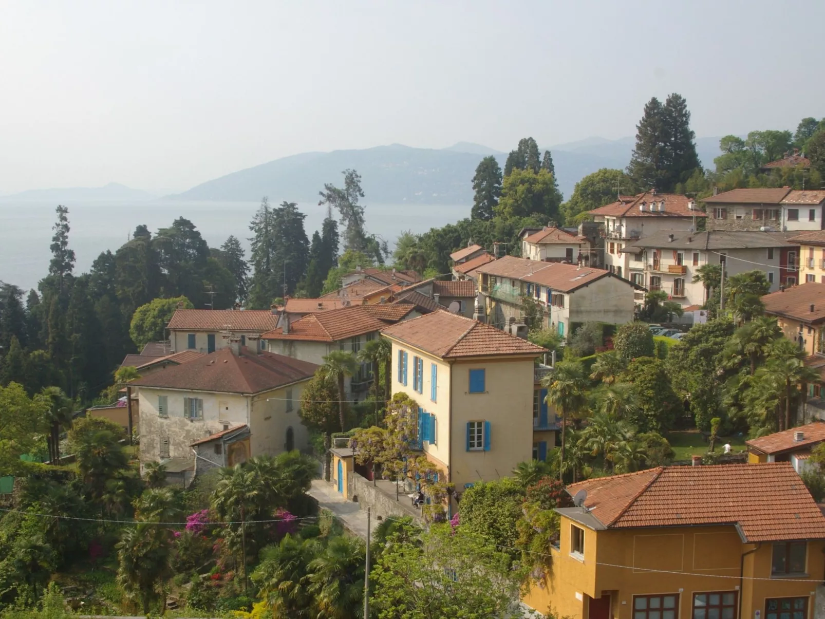 Vecchia Scuderia-Image-tags.info