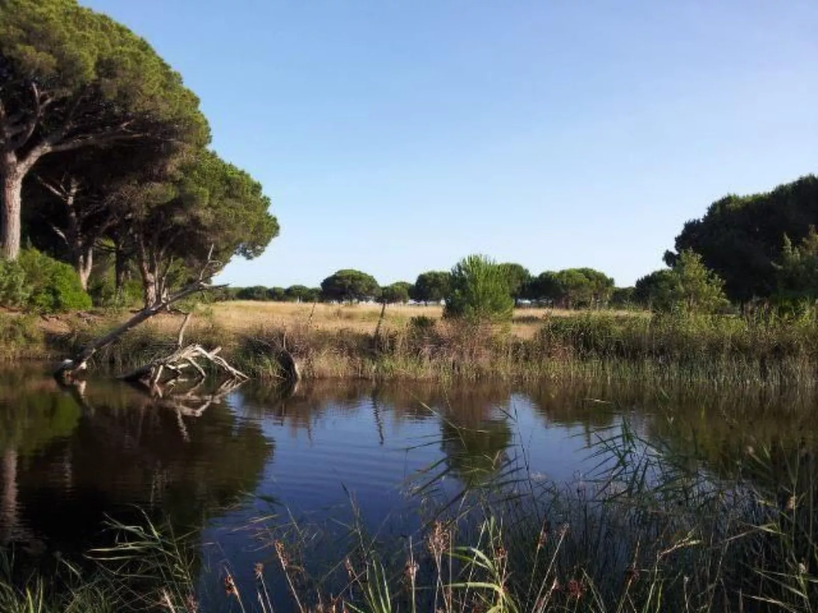 Mareblù' Wohnung mit Jacuzzi-Image-tags.info