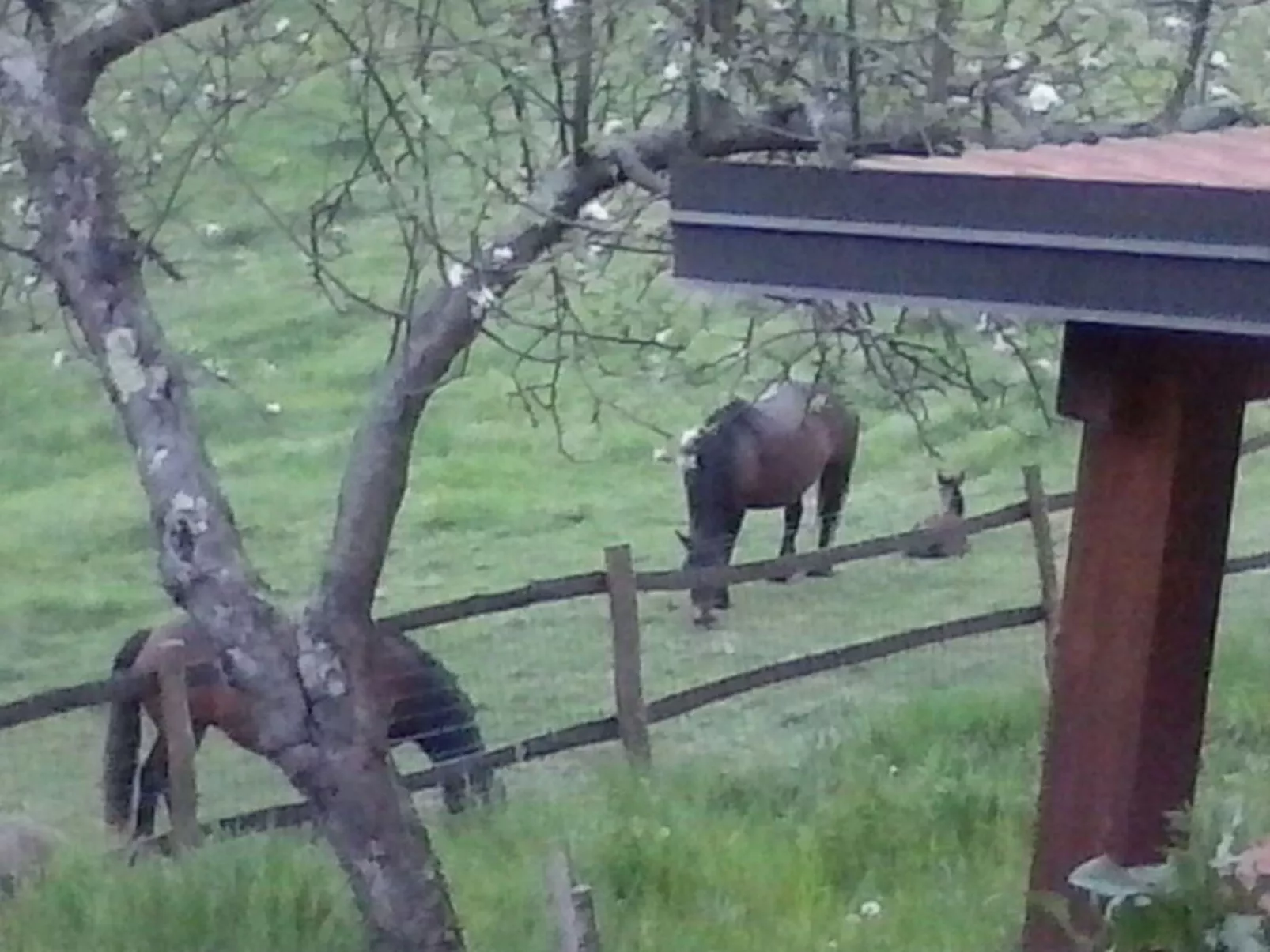 Natur und Entspannung, Villa im Park-Image-tags.info