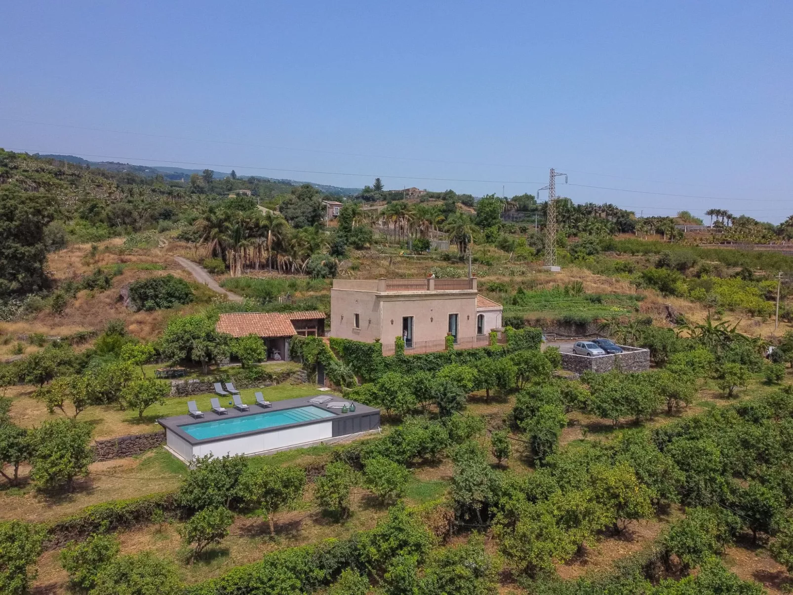 Avocado Garten-Image-tags.info