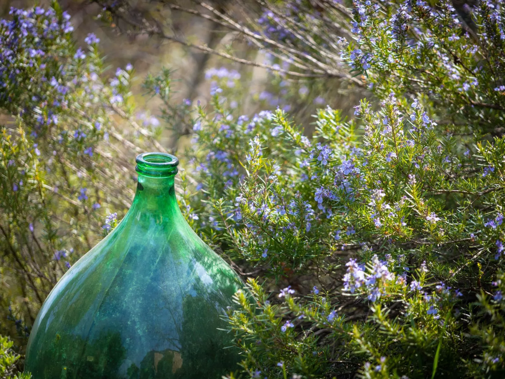 Podere Mencoini Elegante Villa mit Pool und Olivenbäumen-Image-tags.info
