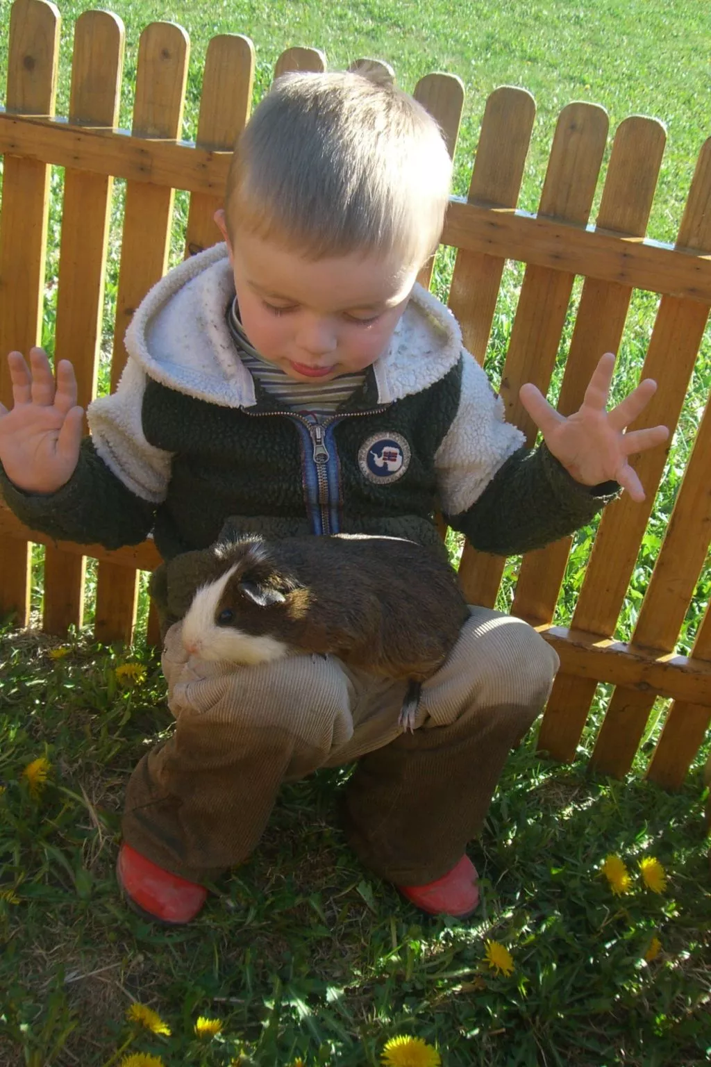 Kompatscherhof-Binnen