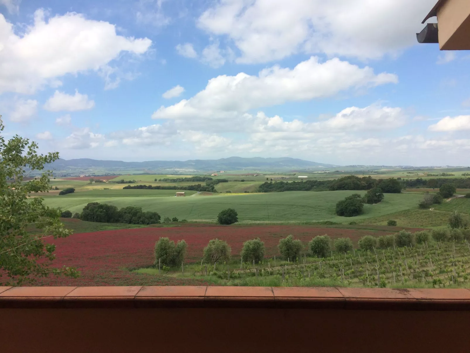 Pieve pomaia Trilo6 flach-Buiten