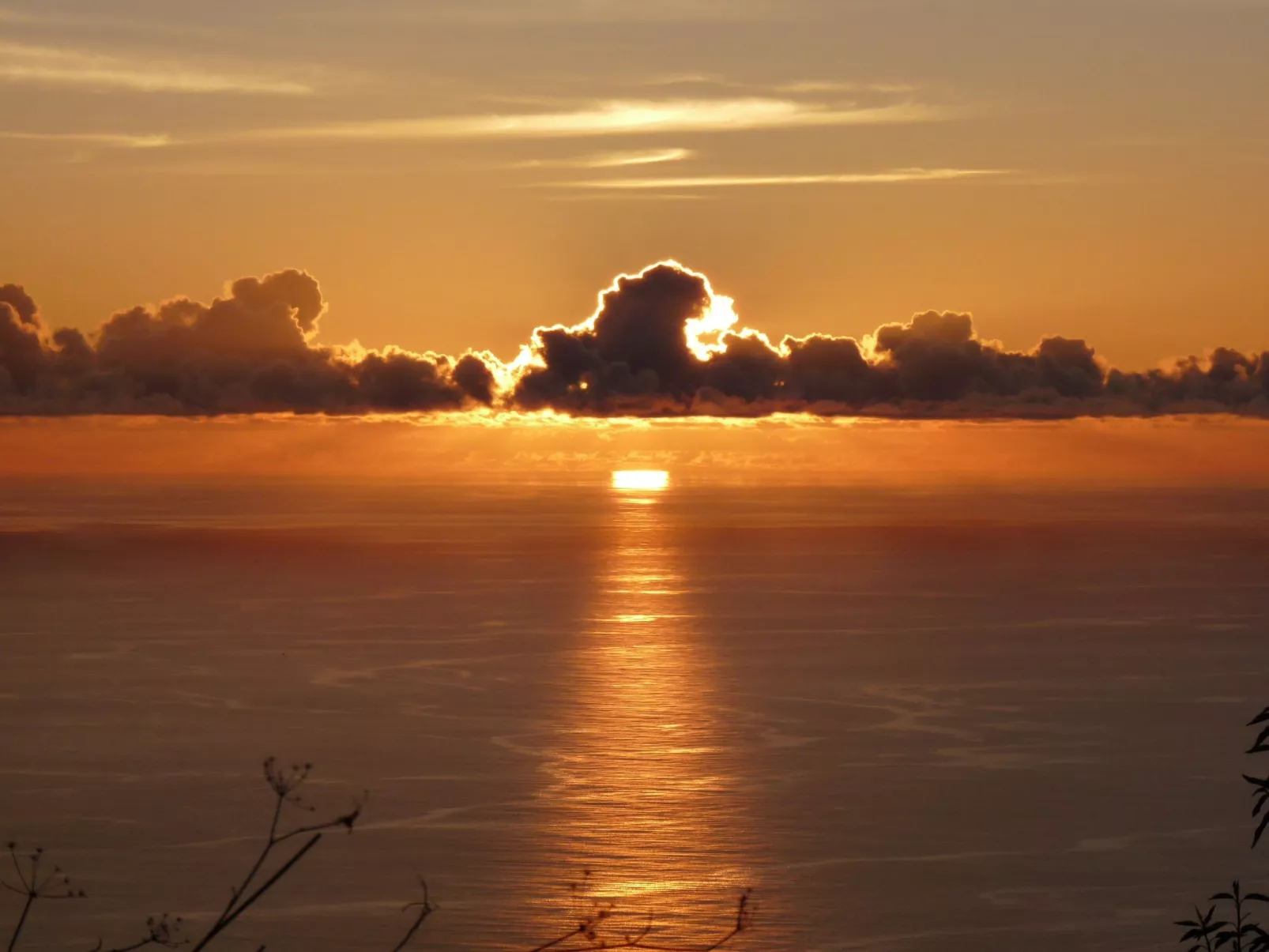 Ruhige Finca Topo del Drago mit Meerblick-Image-tags.info