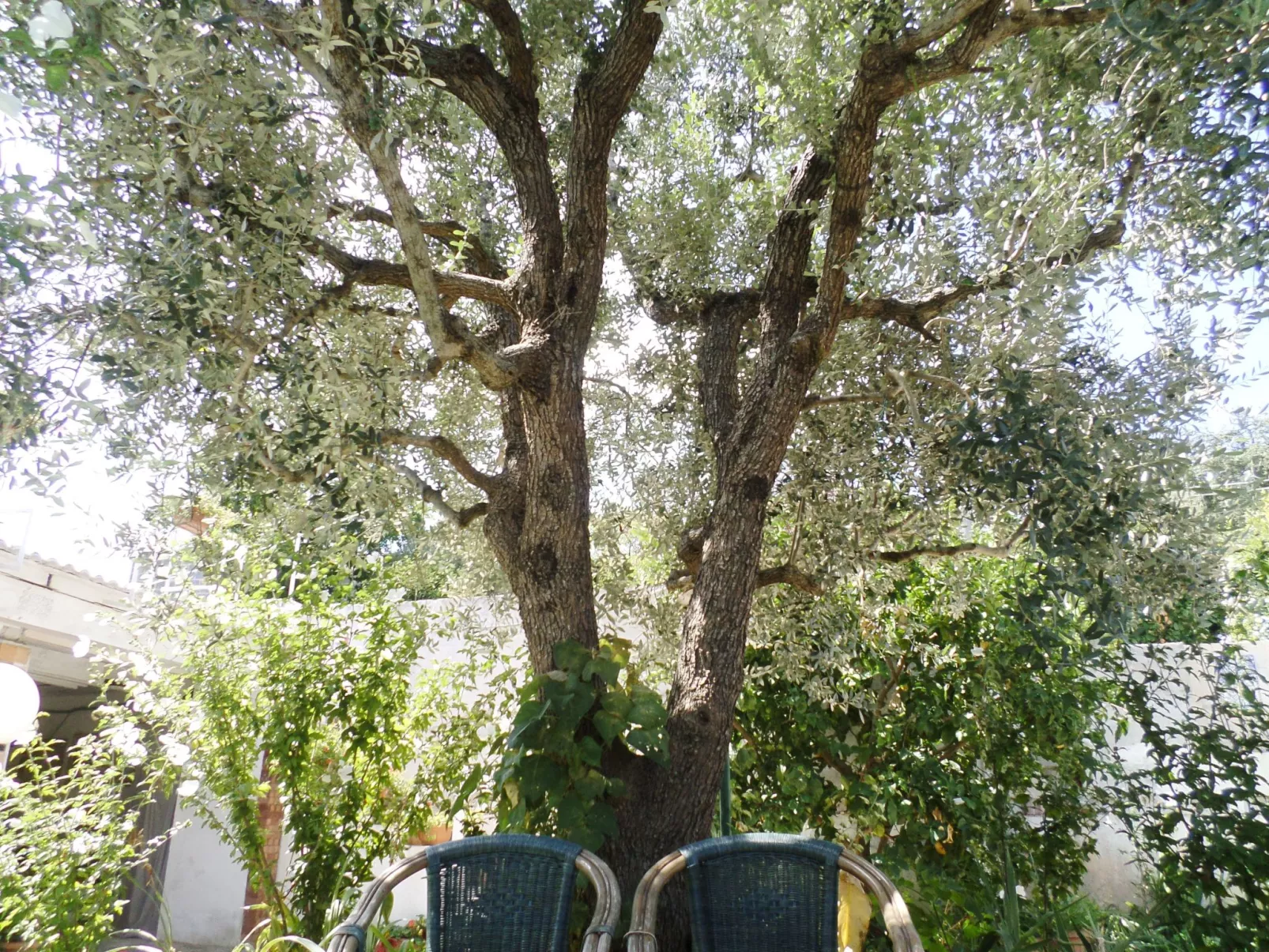 Das Landhaus von Kleopatra und Marcantonio-Buiten