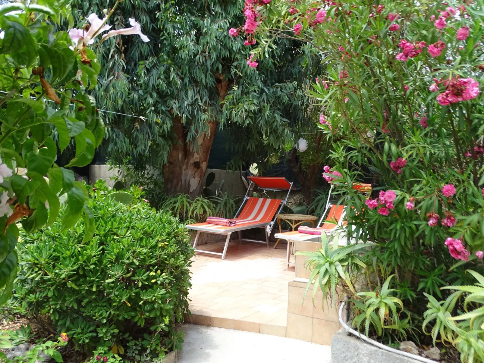 Kleines ruhiges Ferienhaus direkt am Meer-Buiten