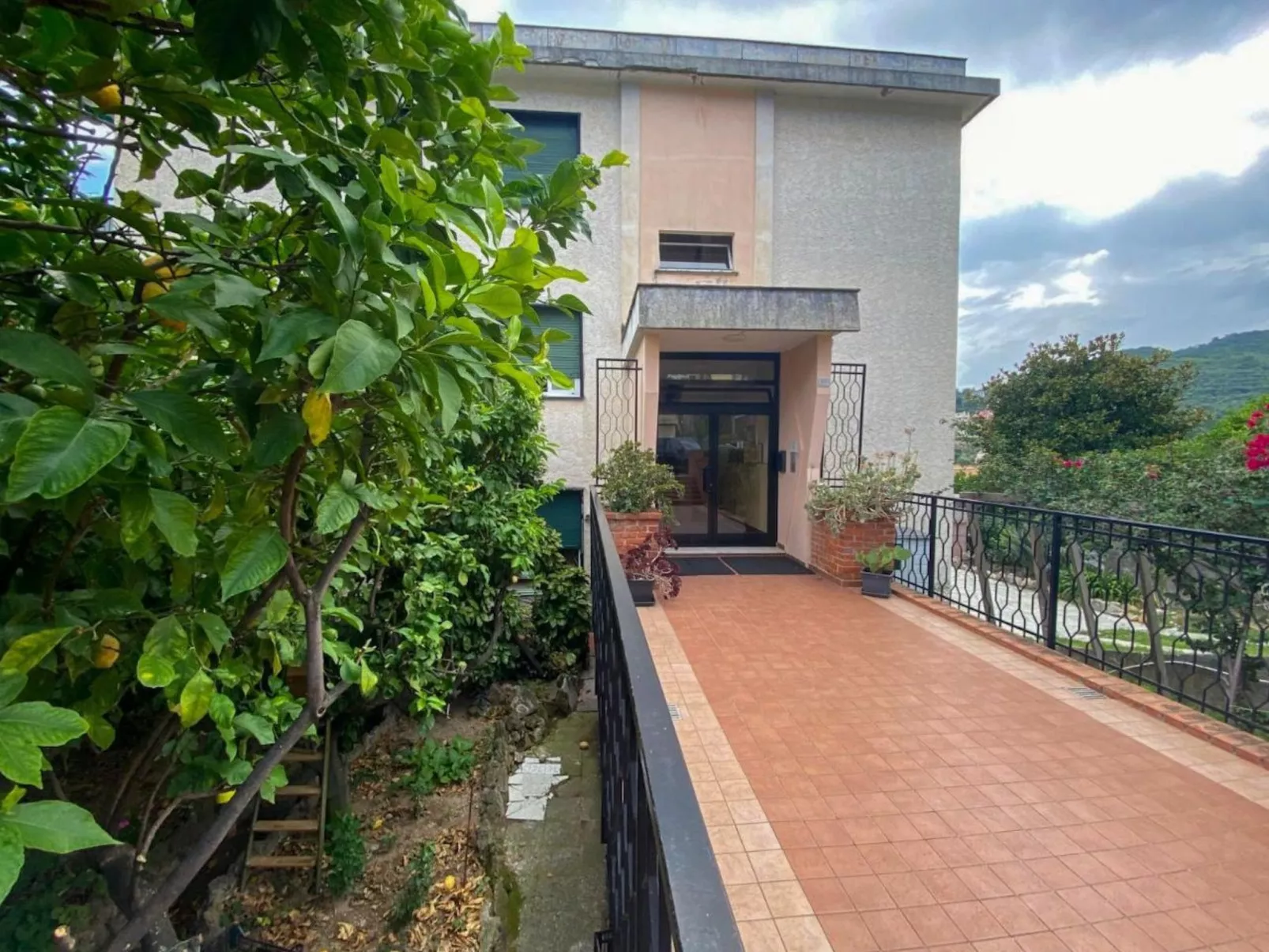 Mare e Mimose von Holiday World-Image-tags.info