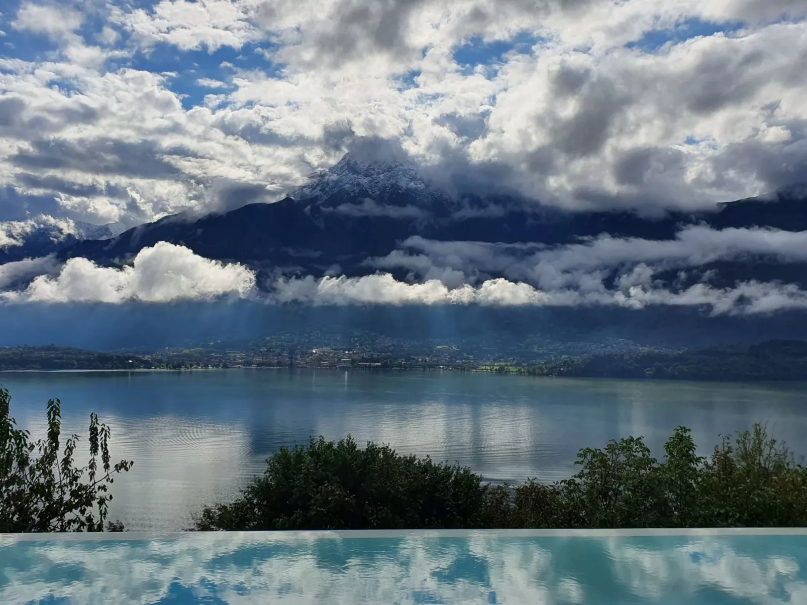 Orchidea-Image-tags.info