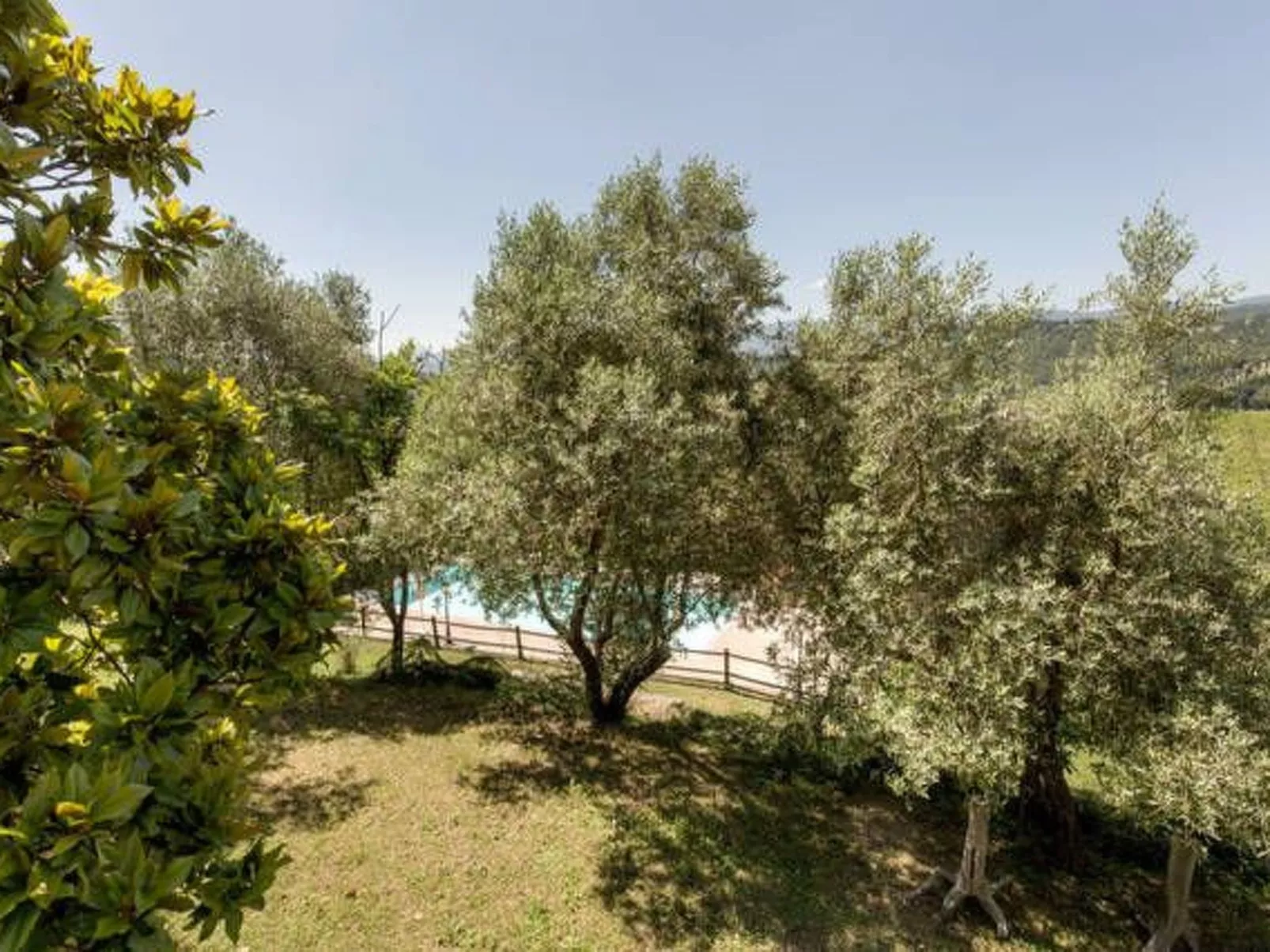 Lindenhaussiedlung mit Gemeinschaftspool-Image-tags.info