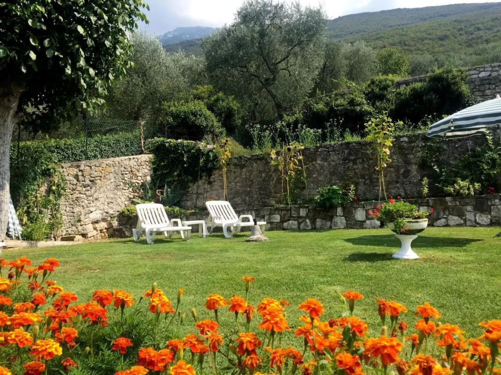 Wohnung nr. 2 im Casa Mary mit Balkon und Seeblick-Buiten